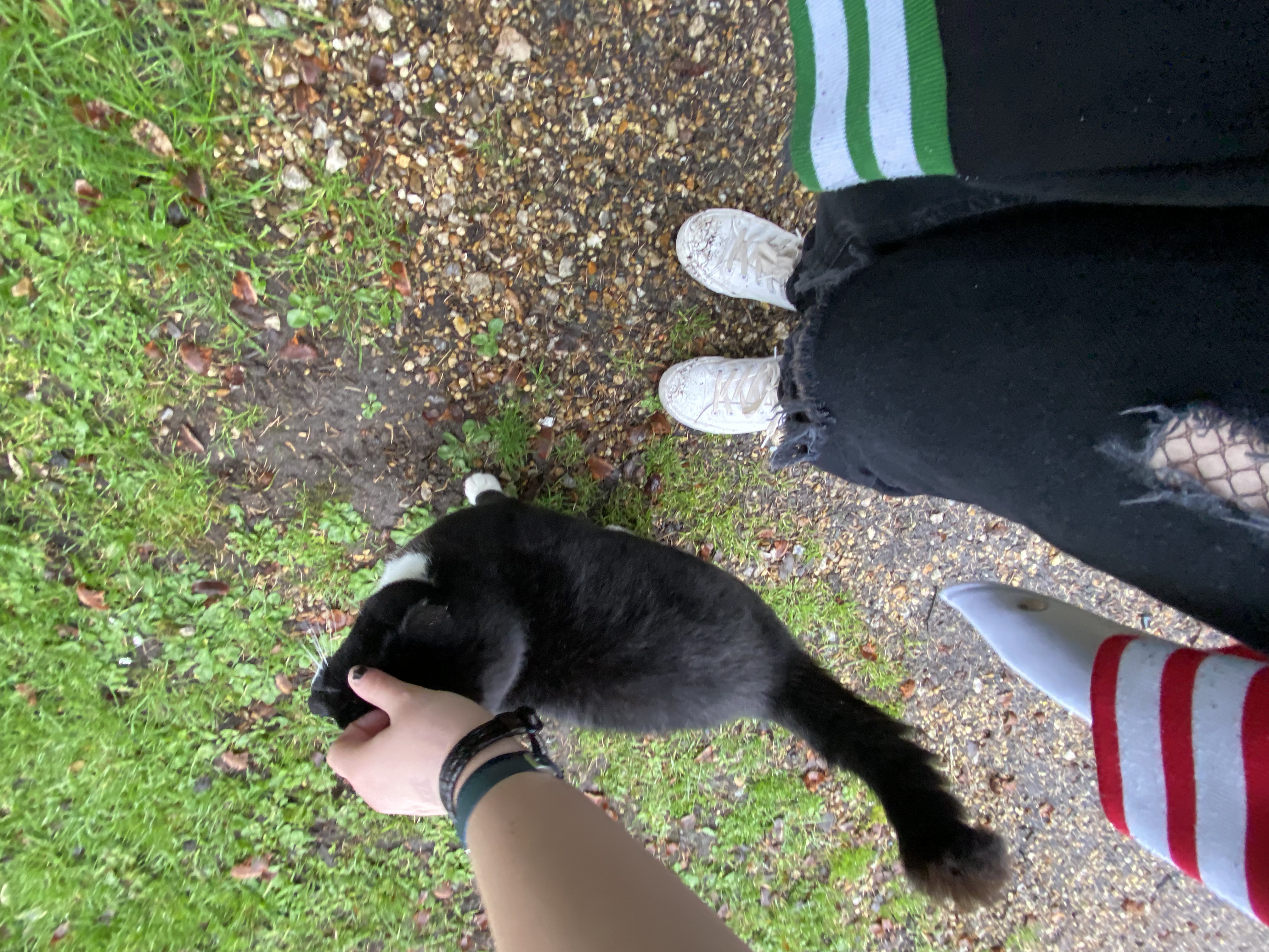 image-7