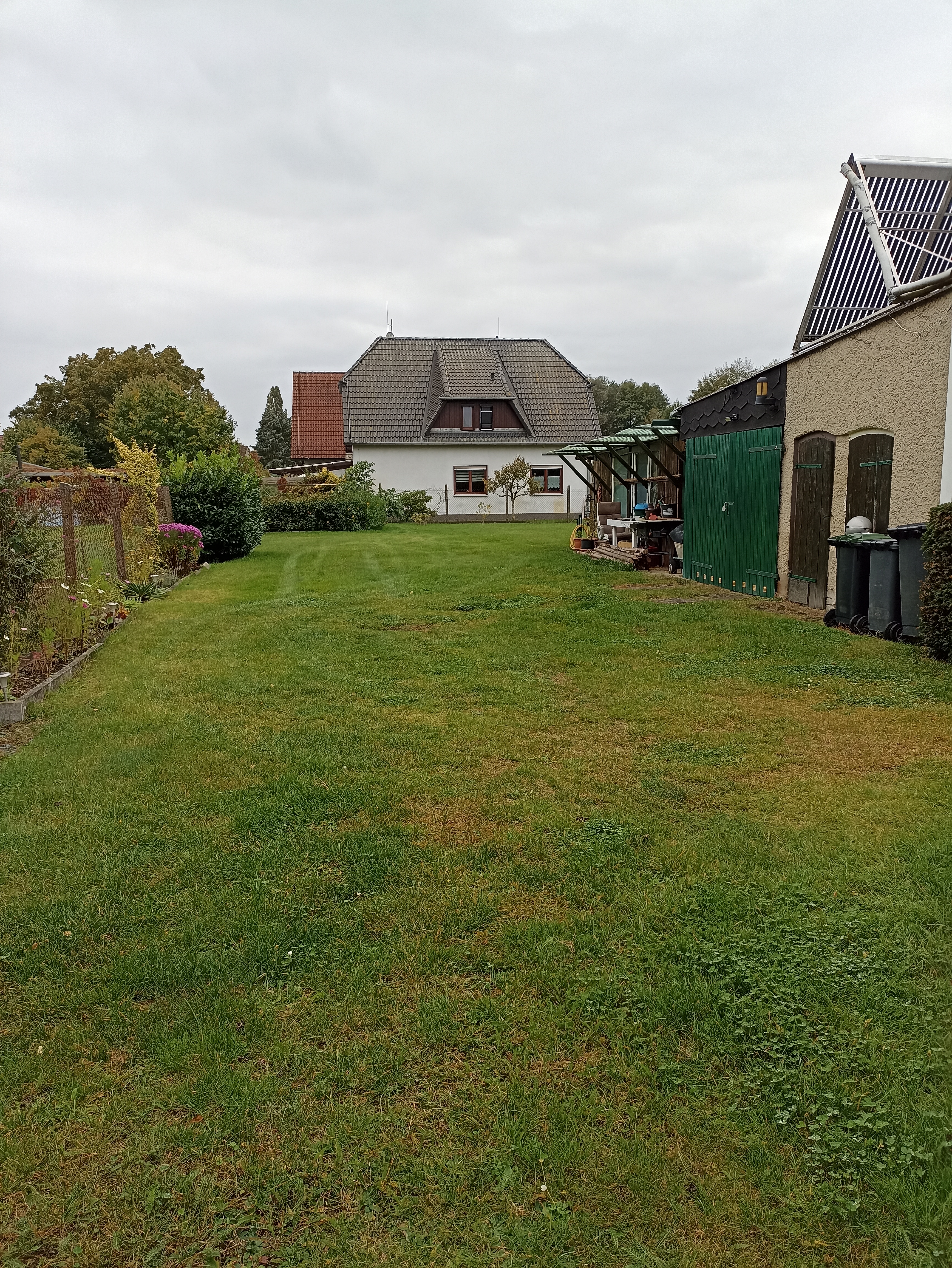 image-19