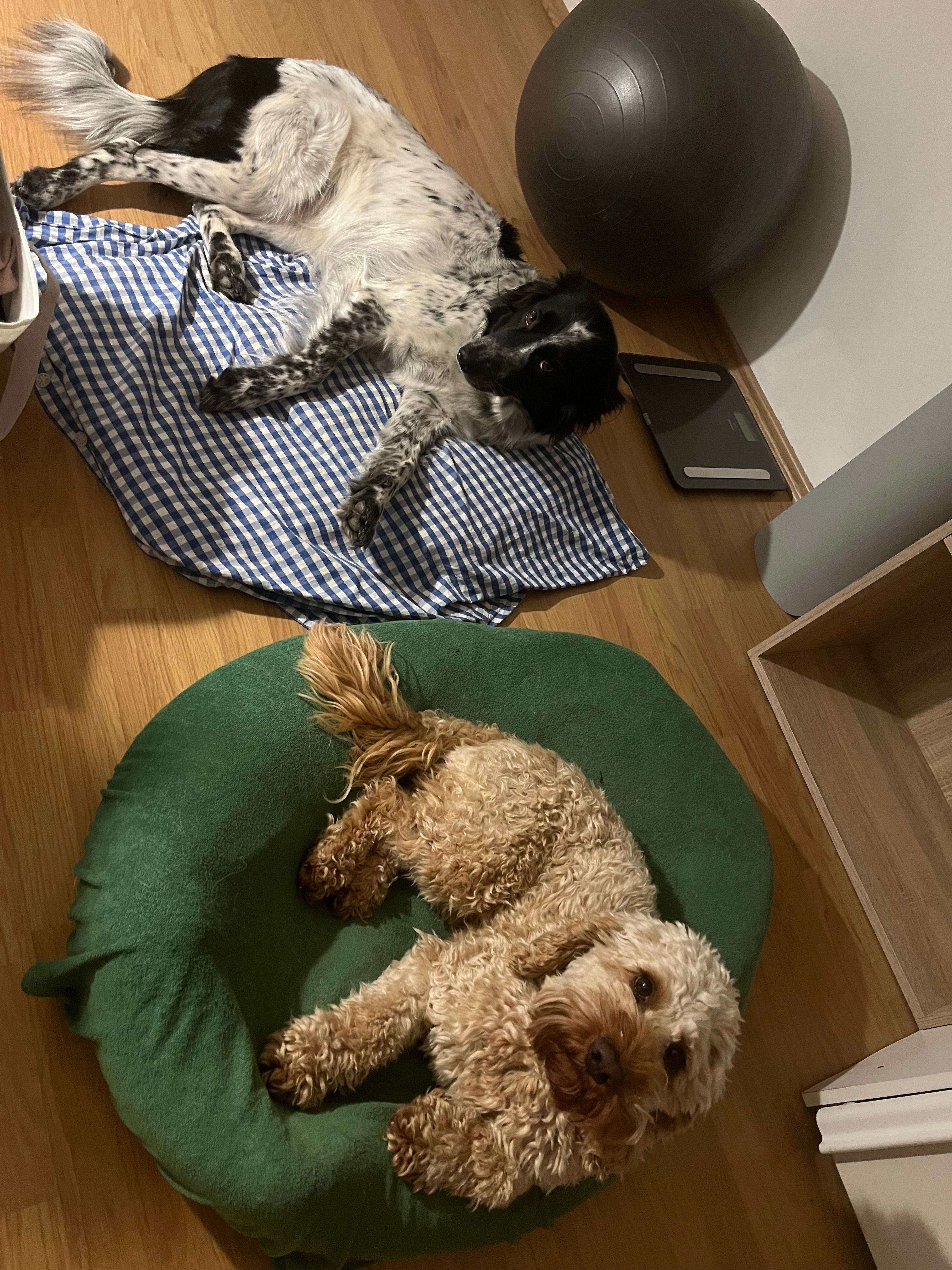image-16