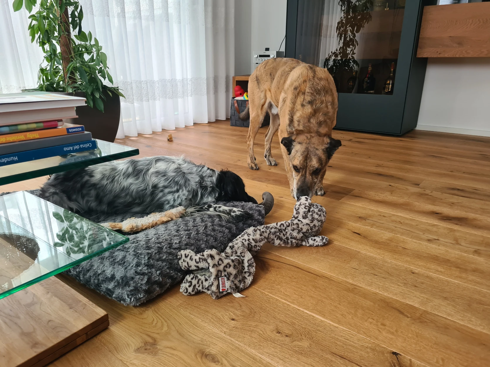 image-16