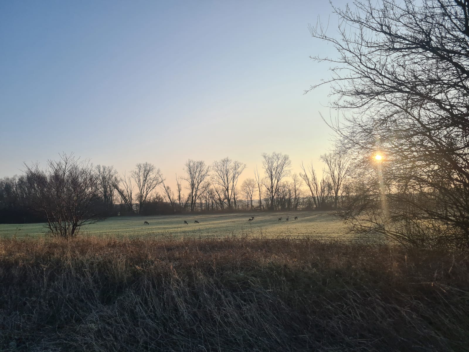 image-11