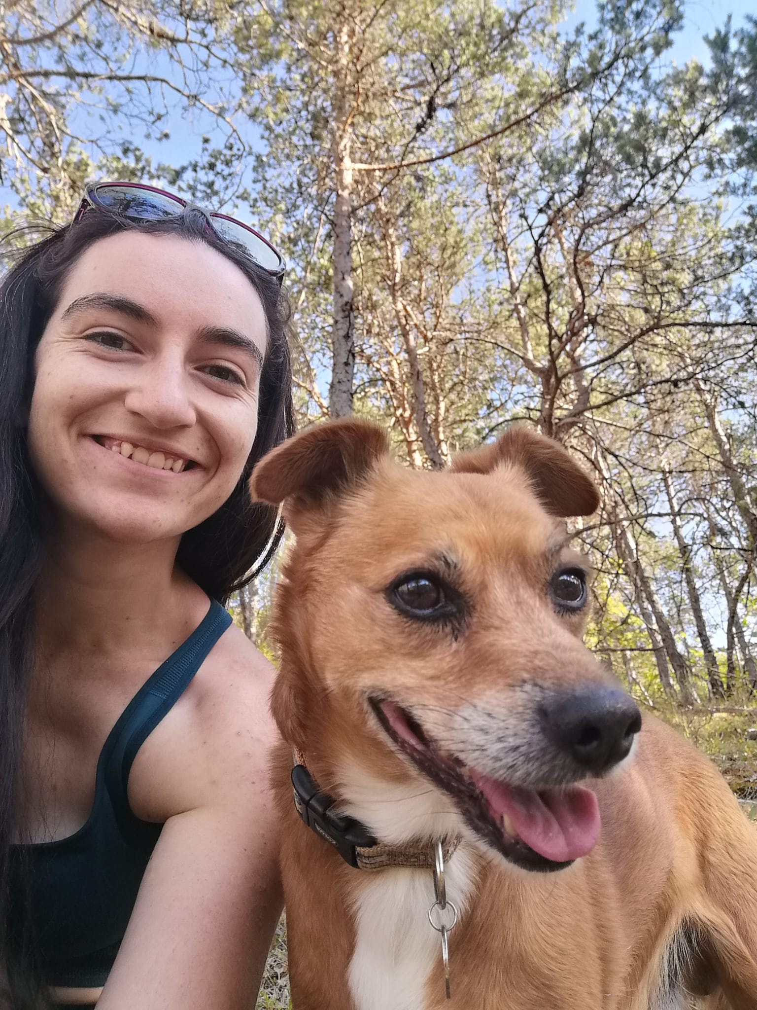 image-0