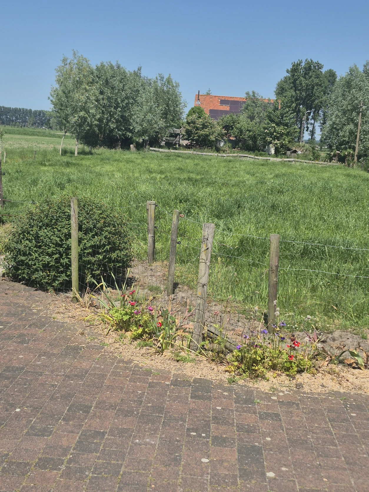 image-17