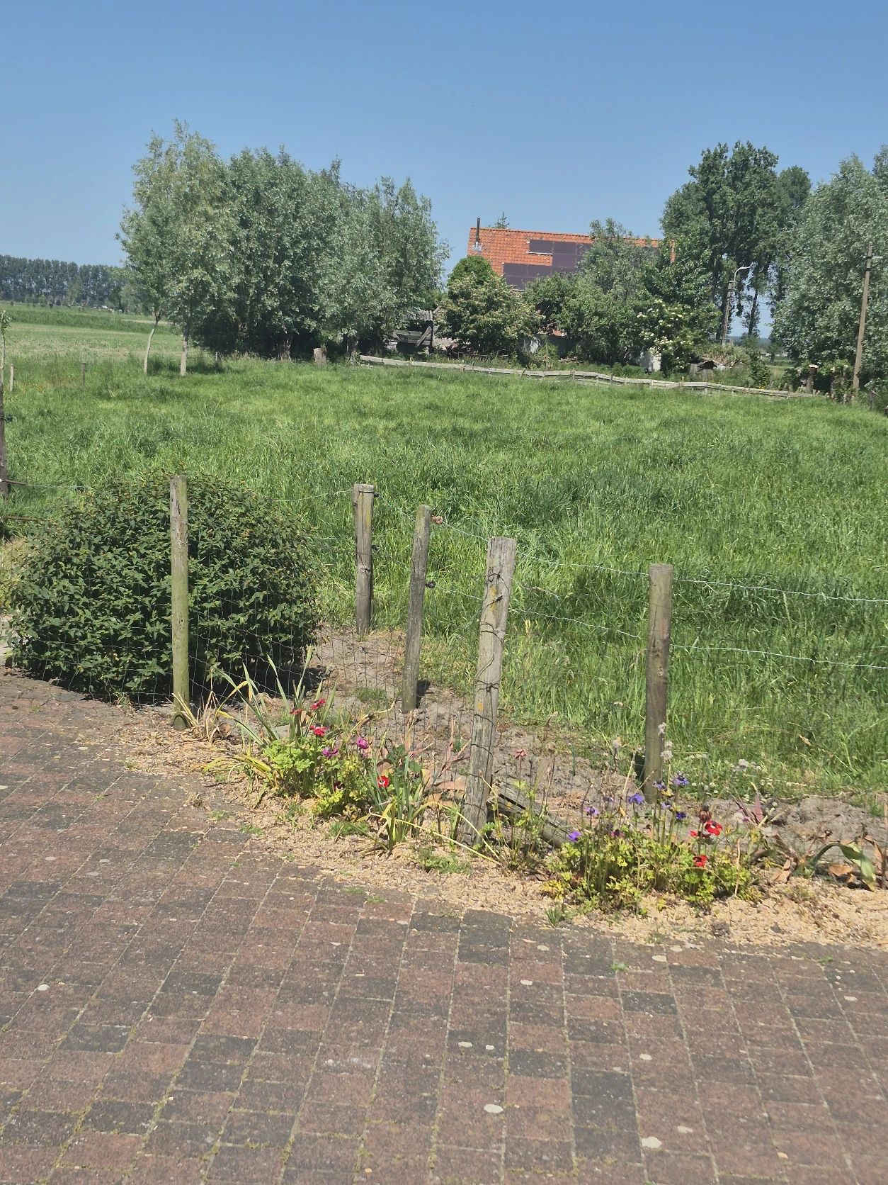 image-17