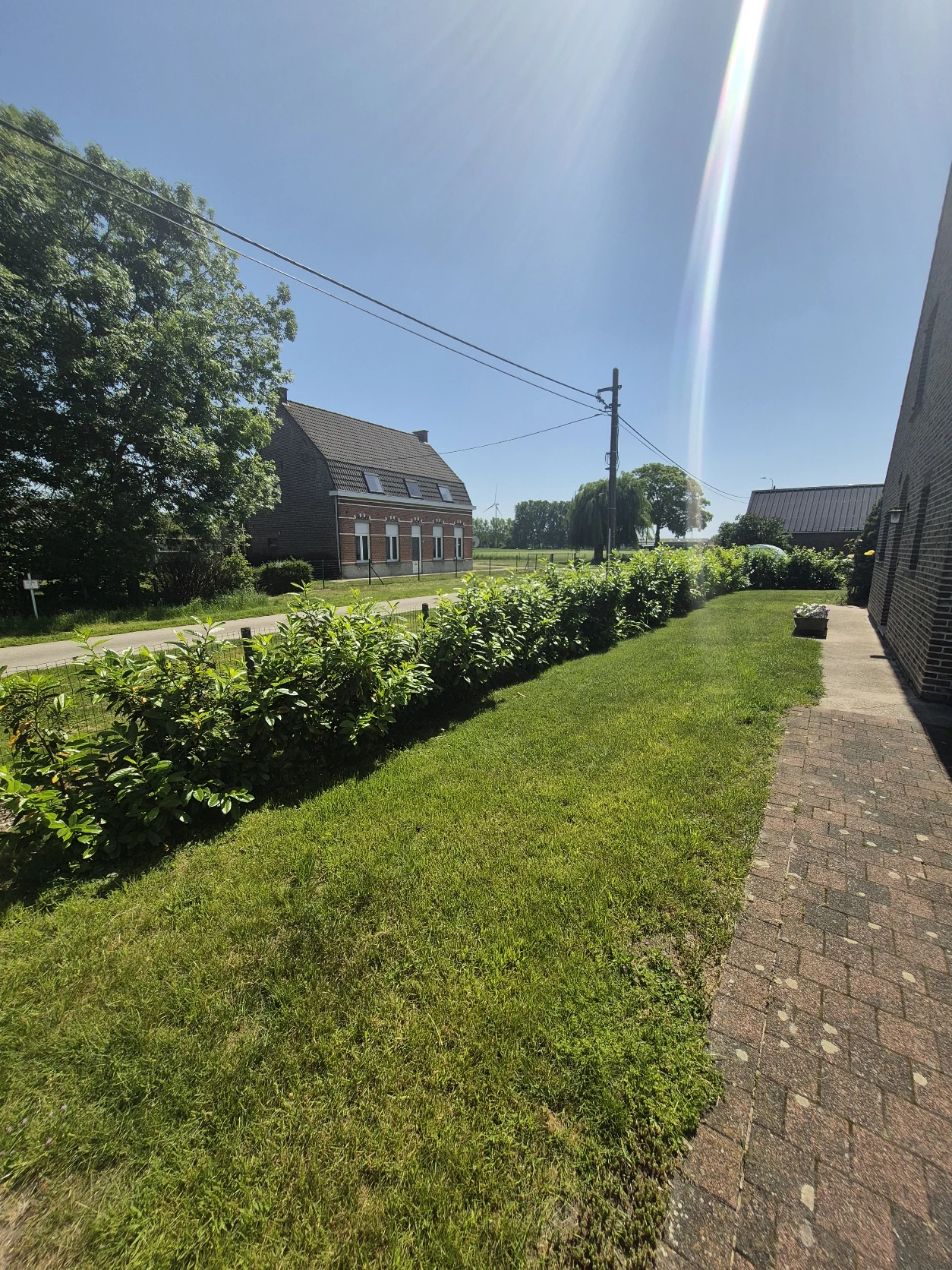 image-14