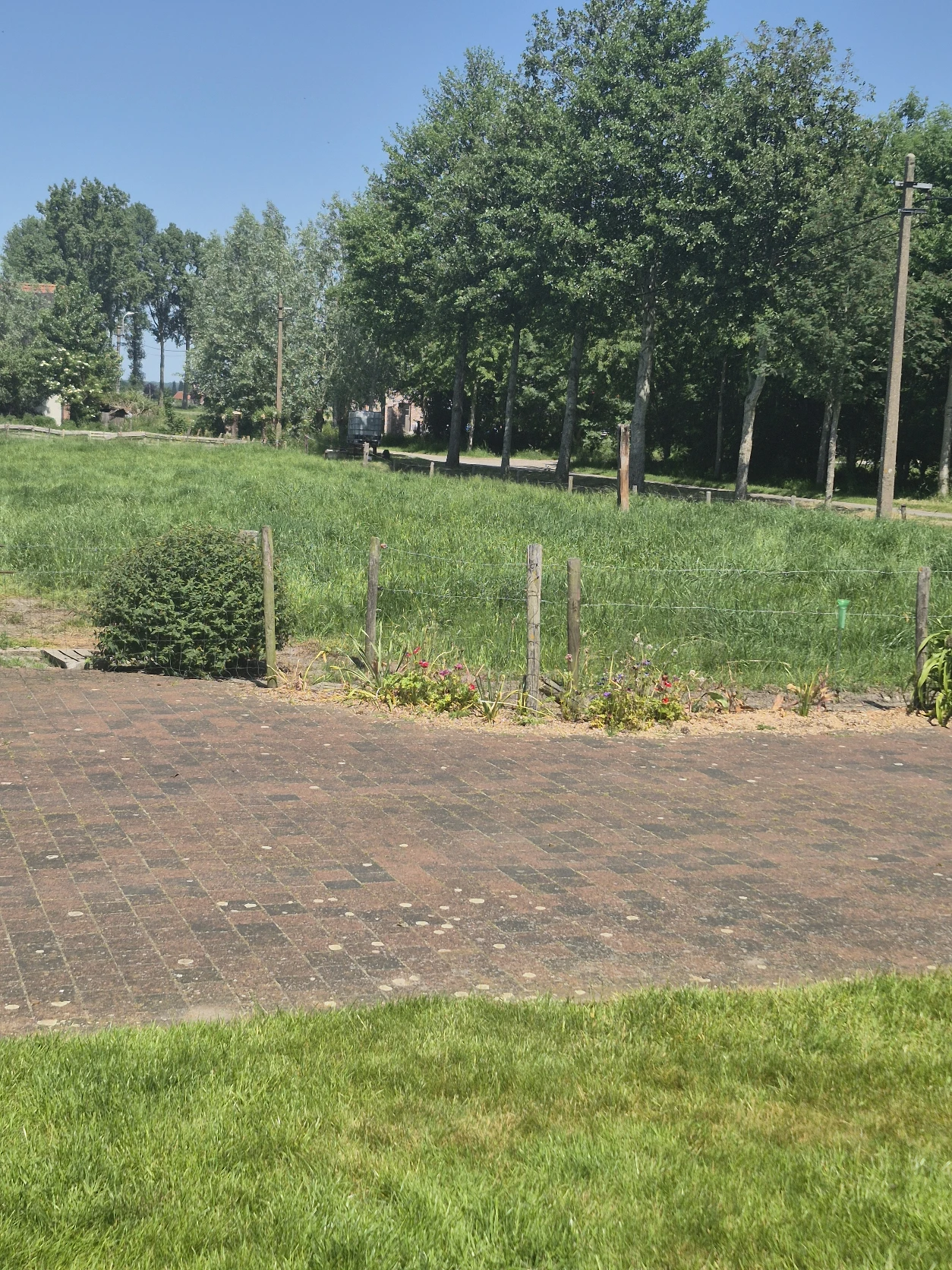 image-18