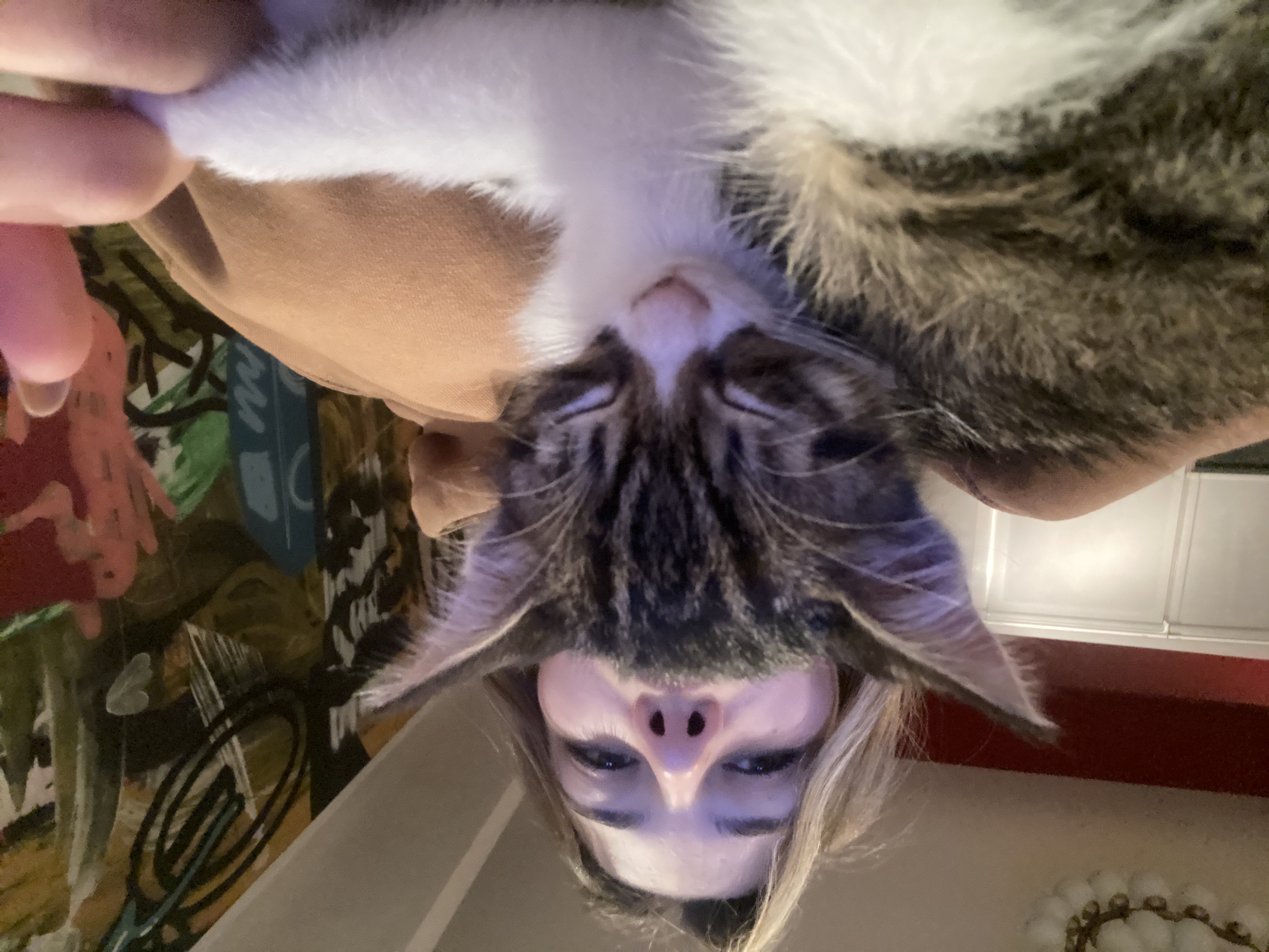 image-6
