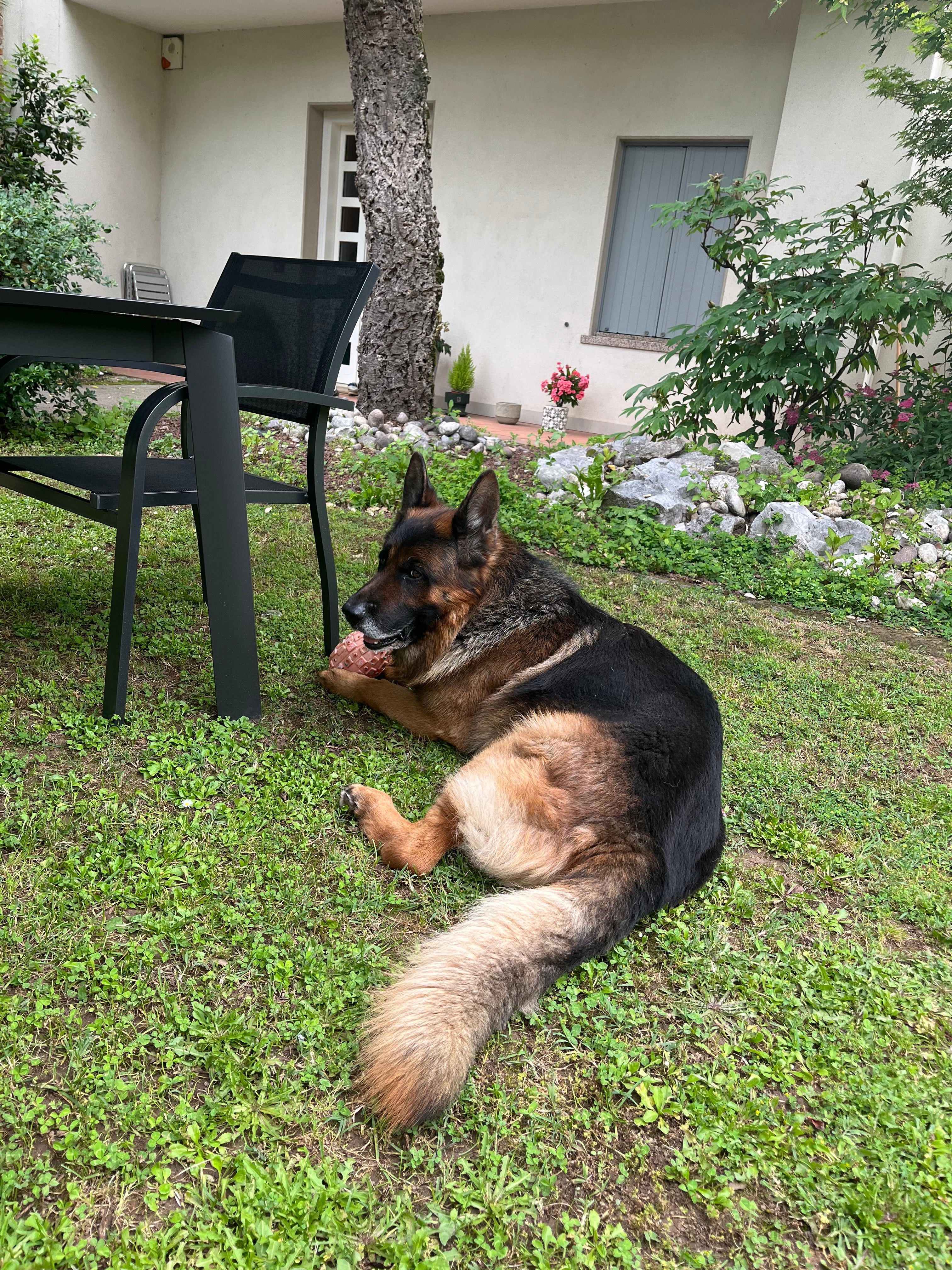 image-4