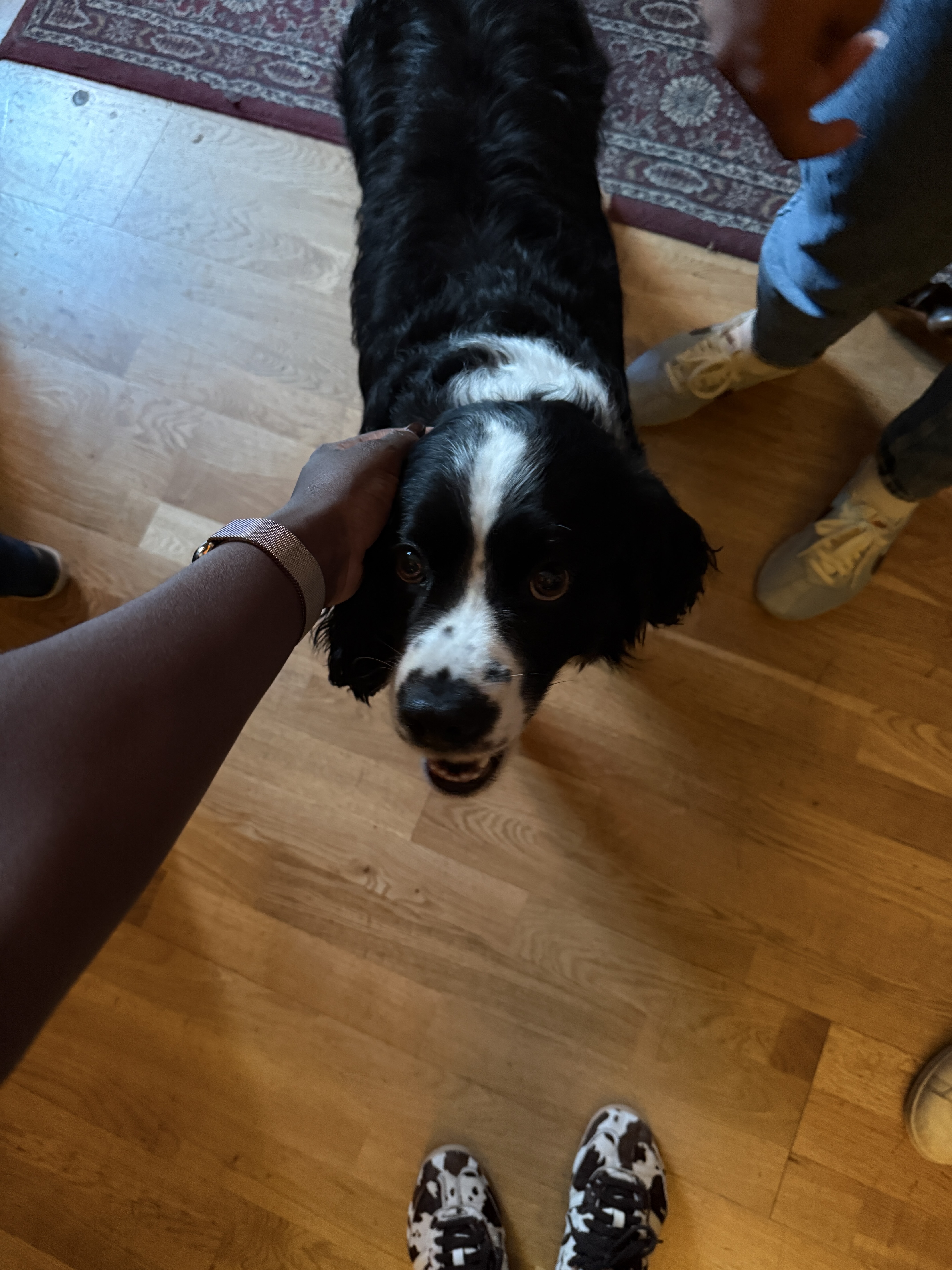 image-6