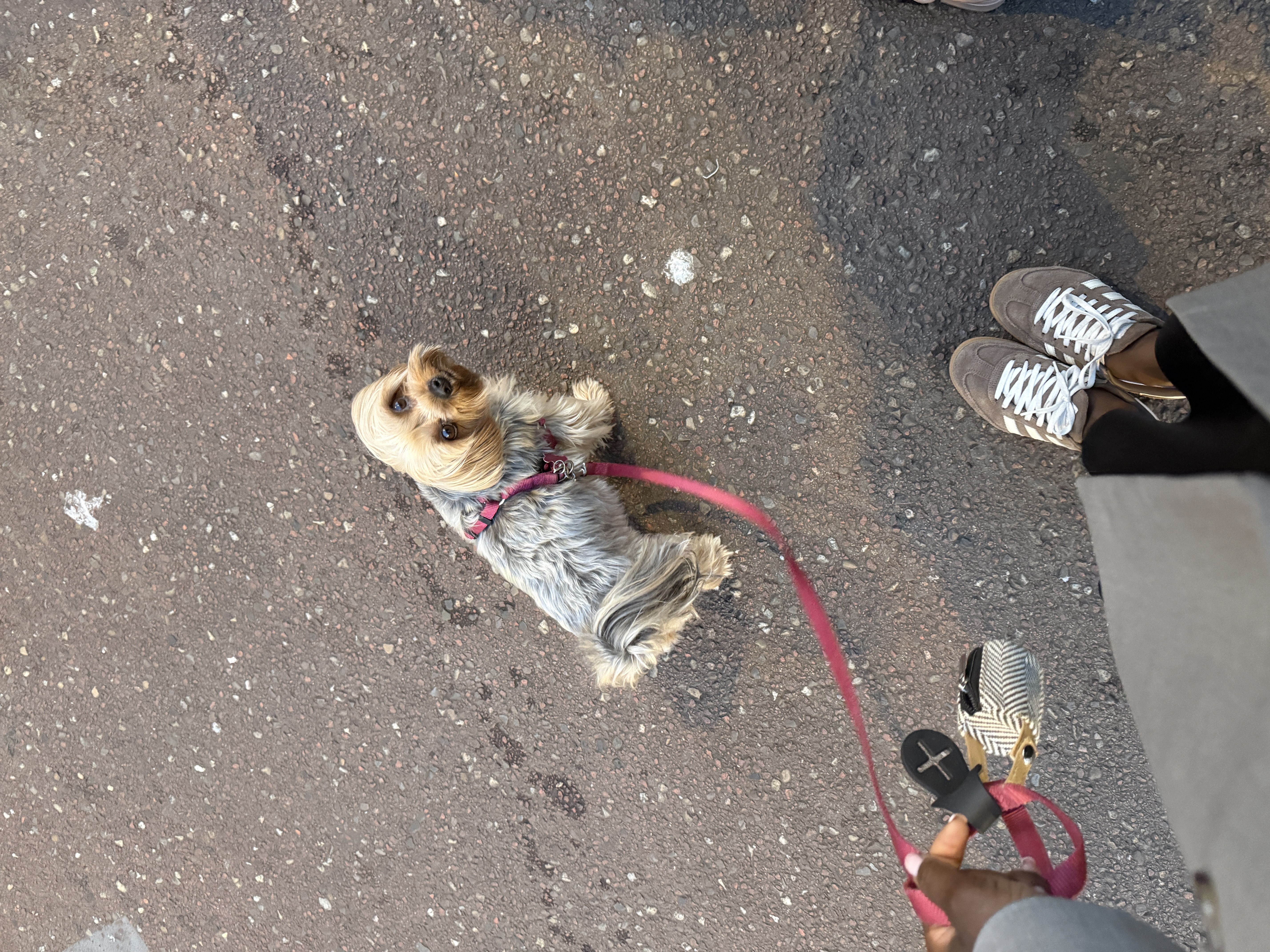 image-5