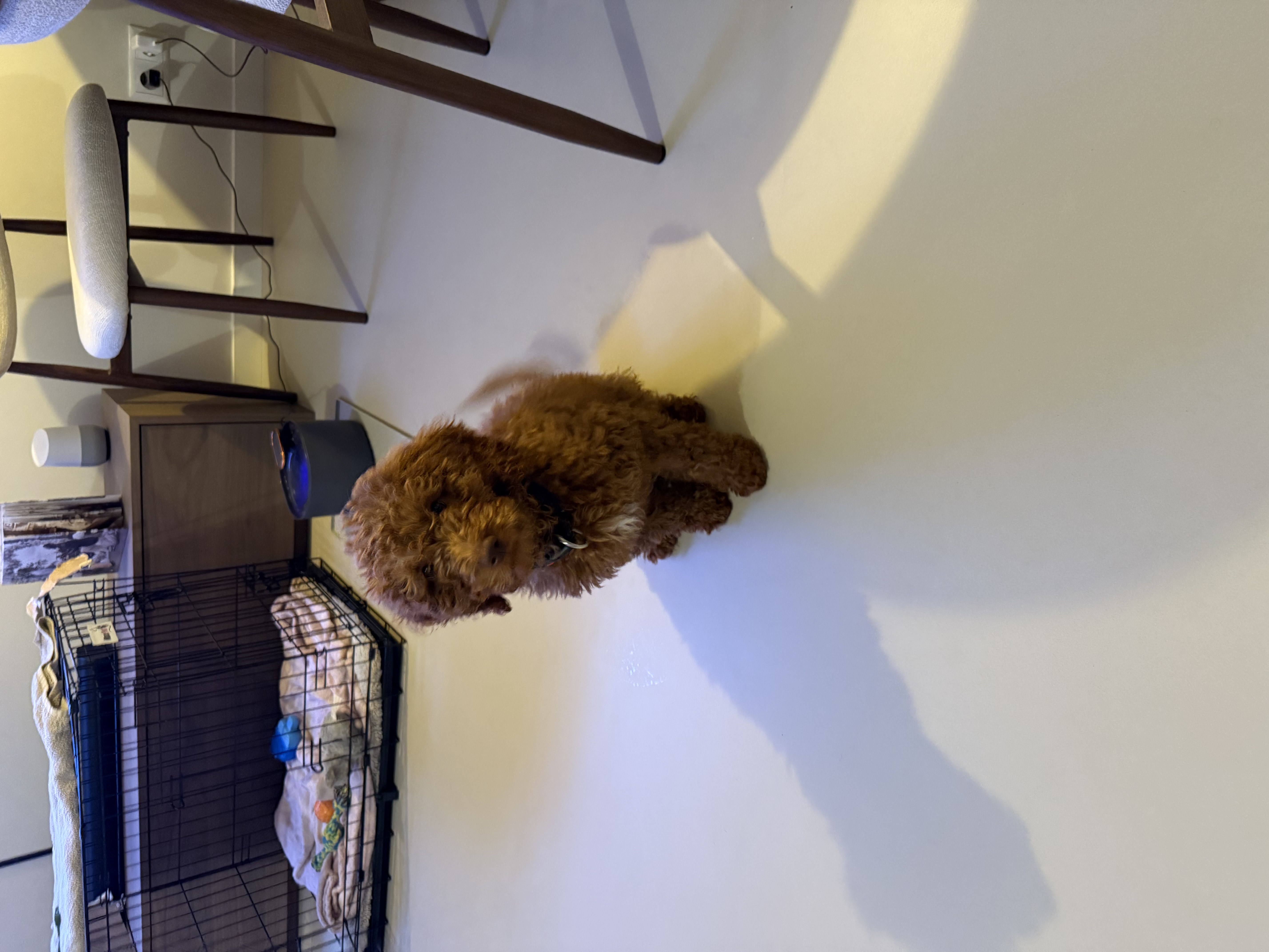 image-7