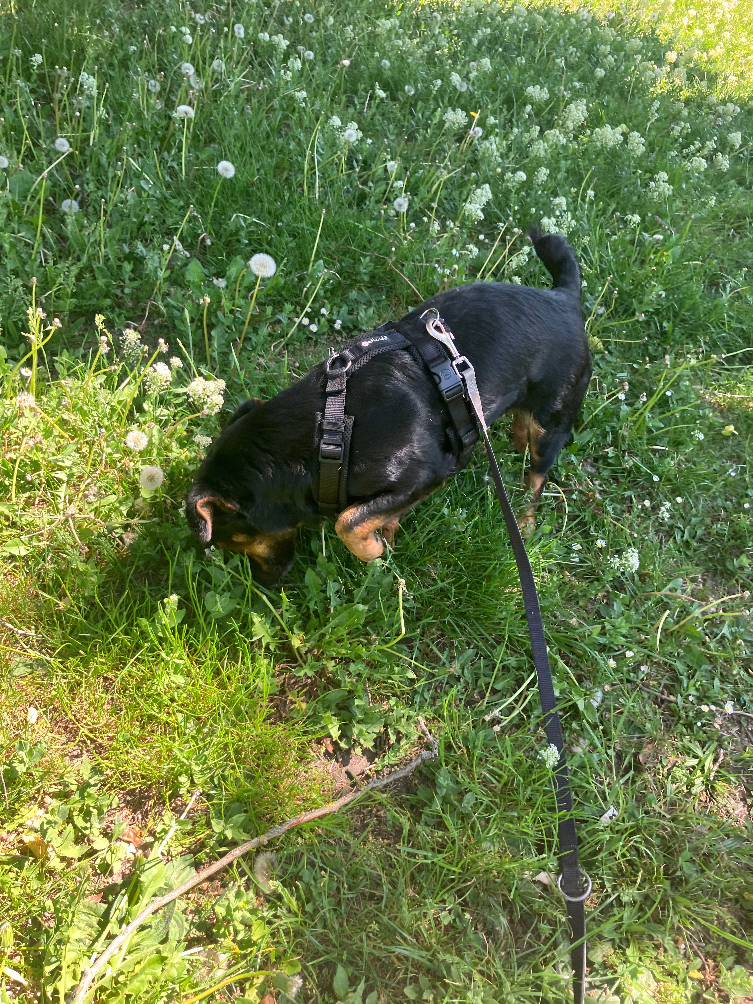 image-3