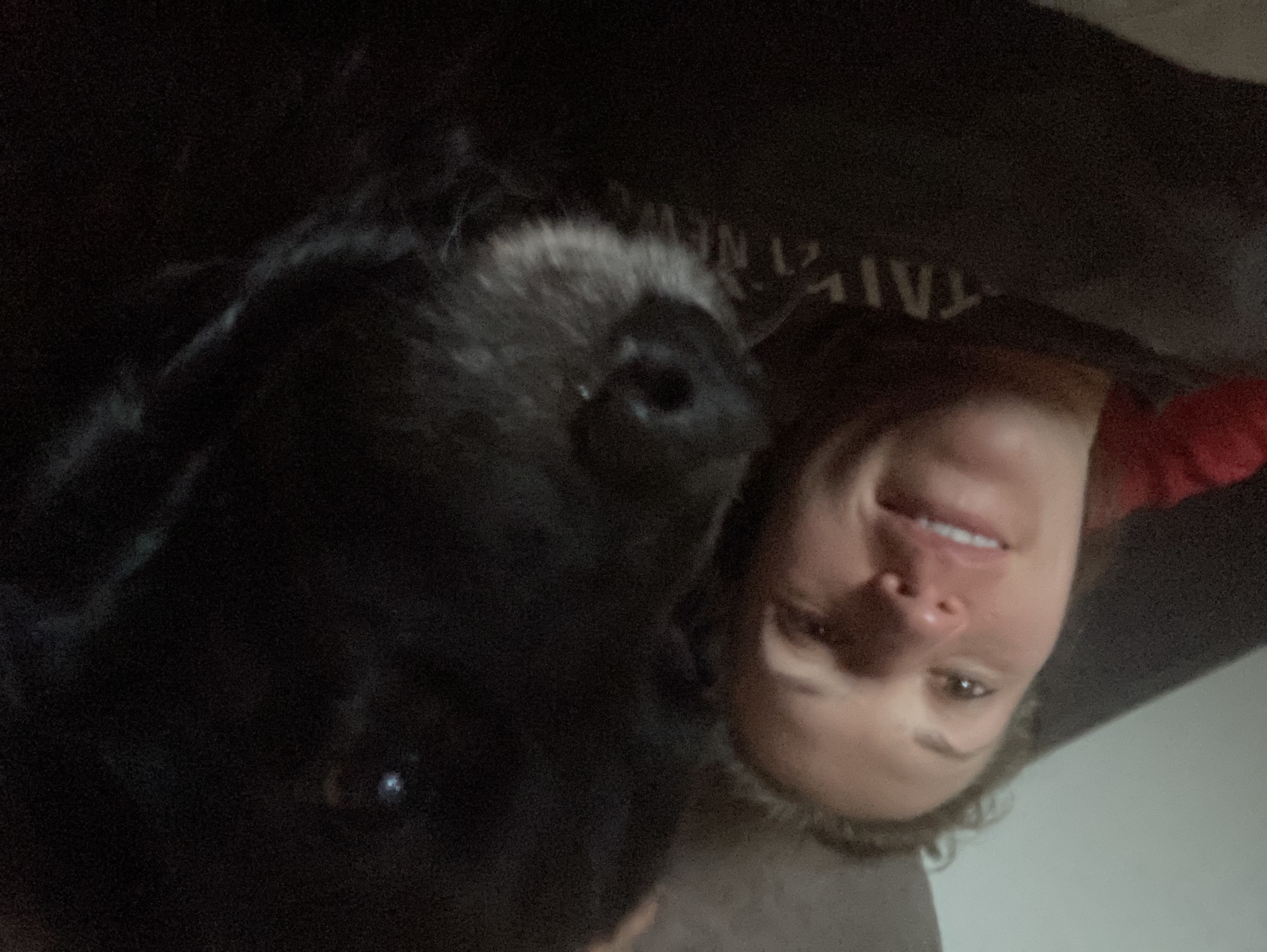 image-6