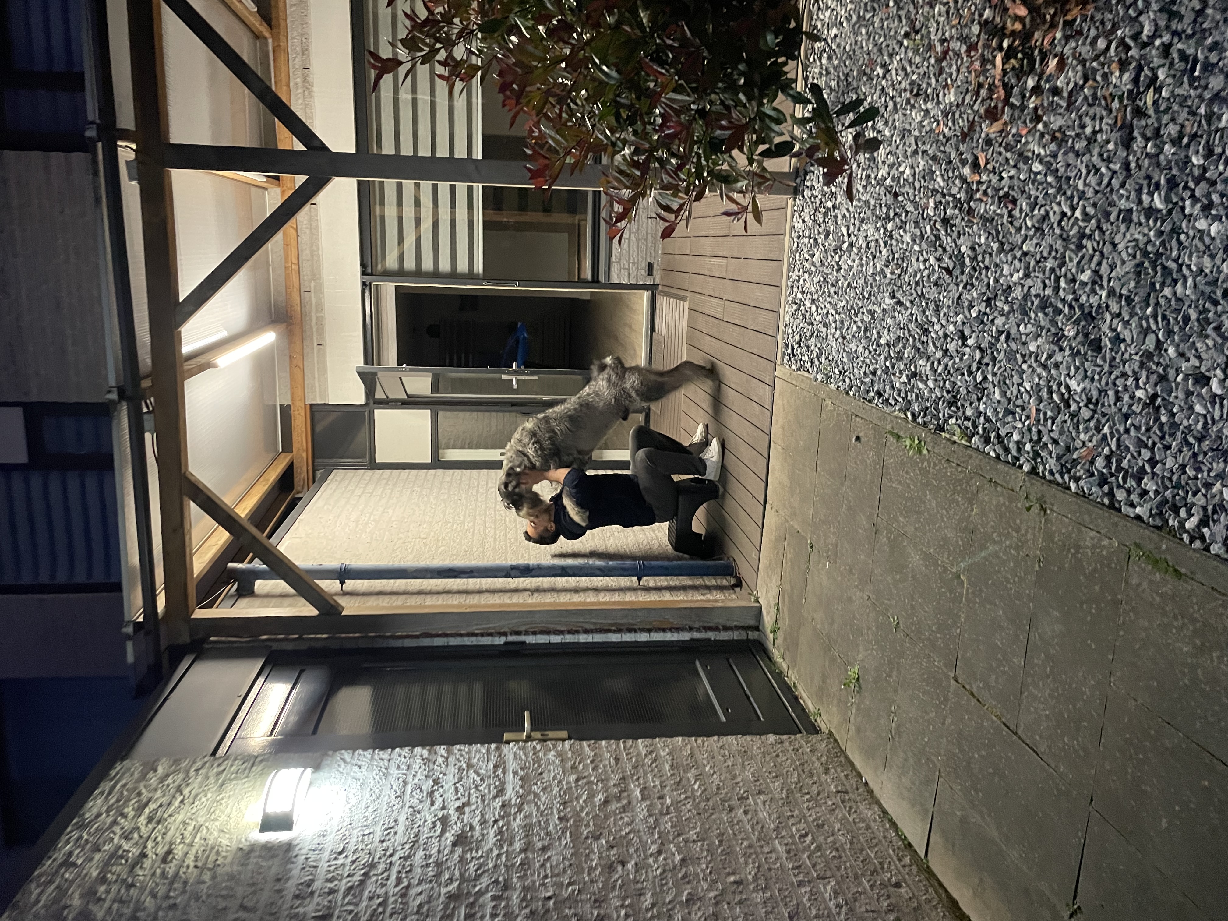 image-13