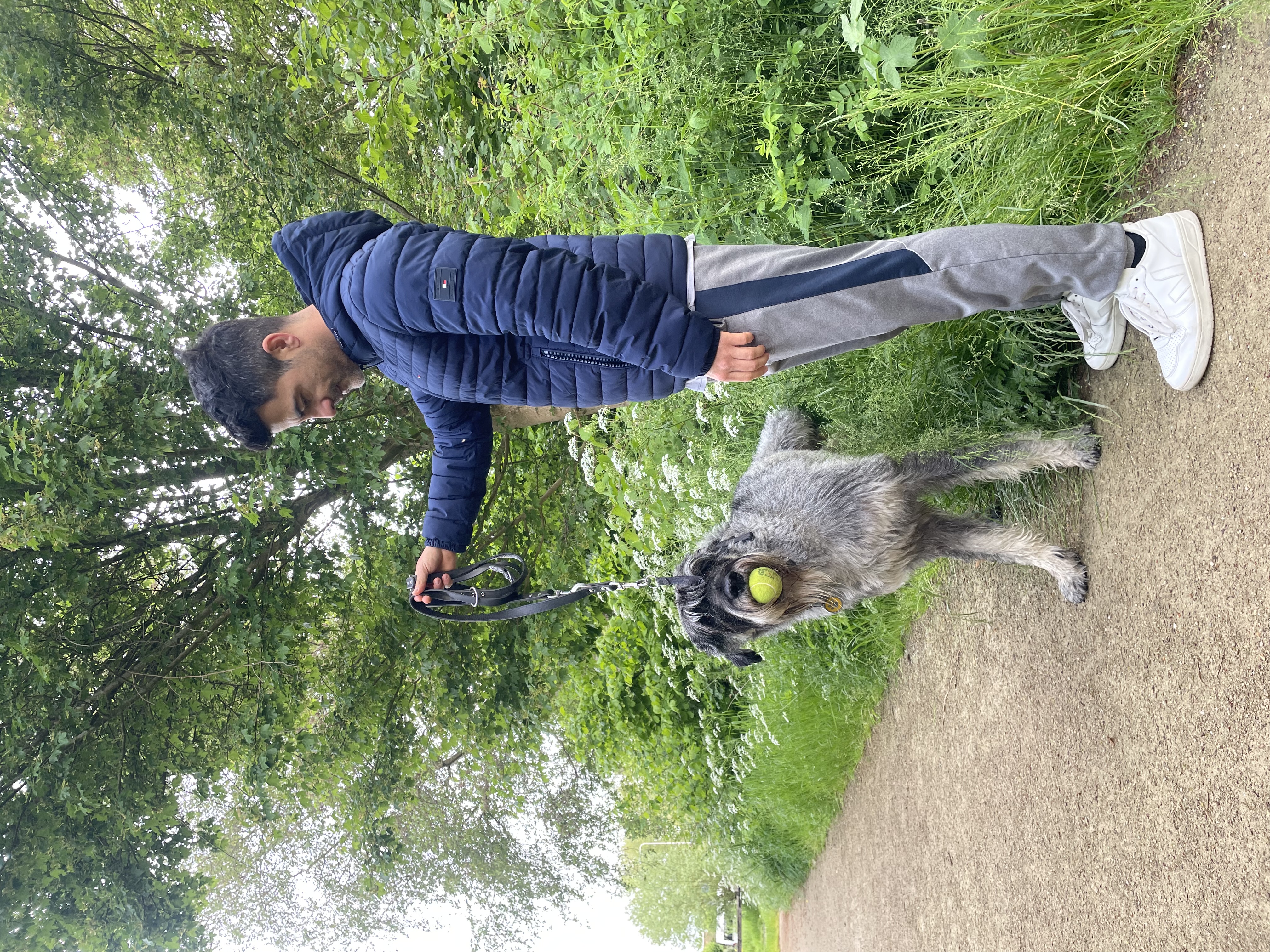 image-12