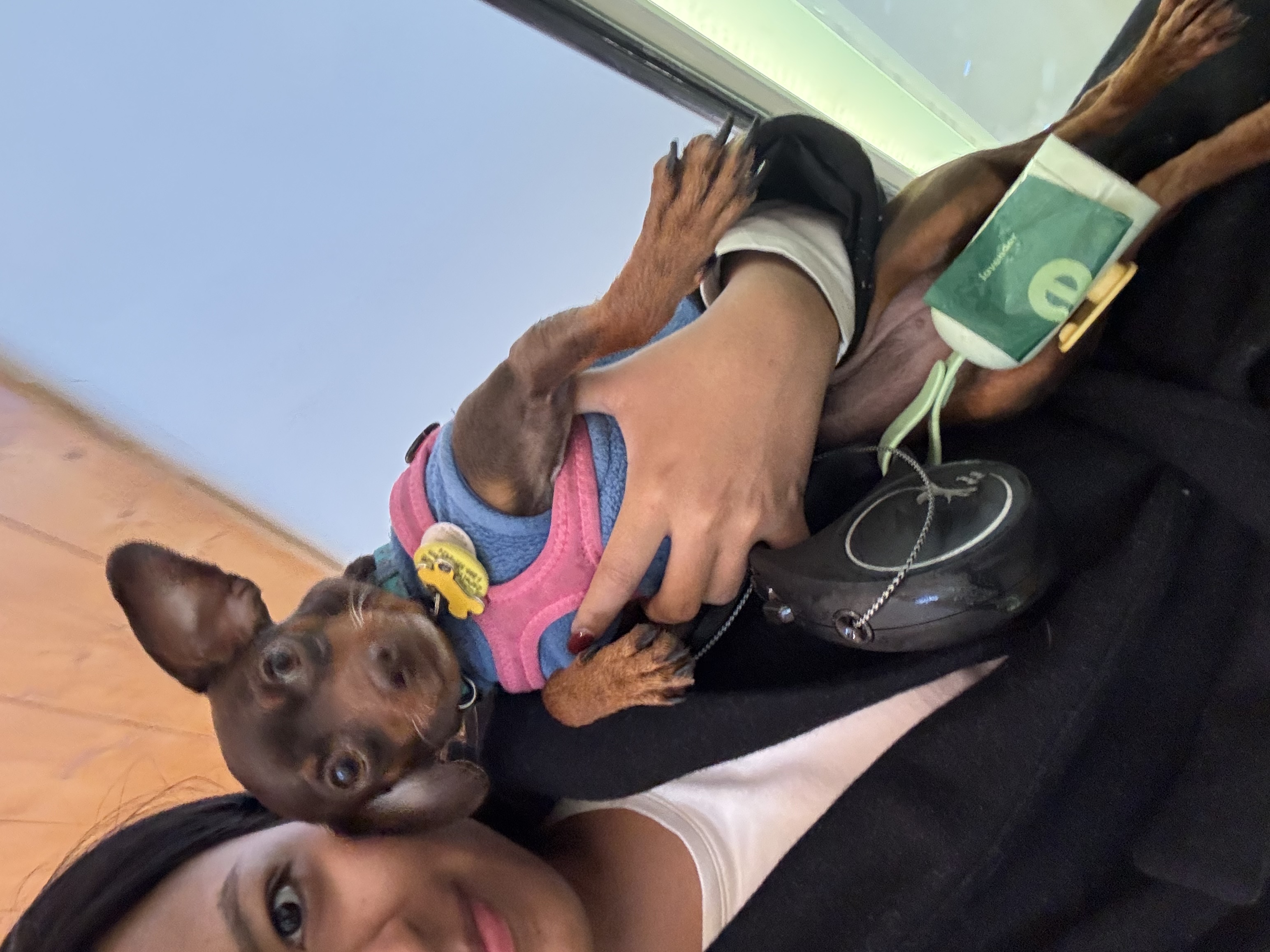 image-6