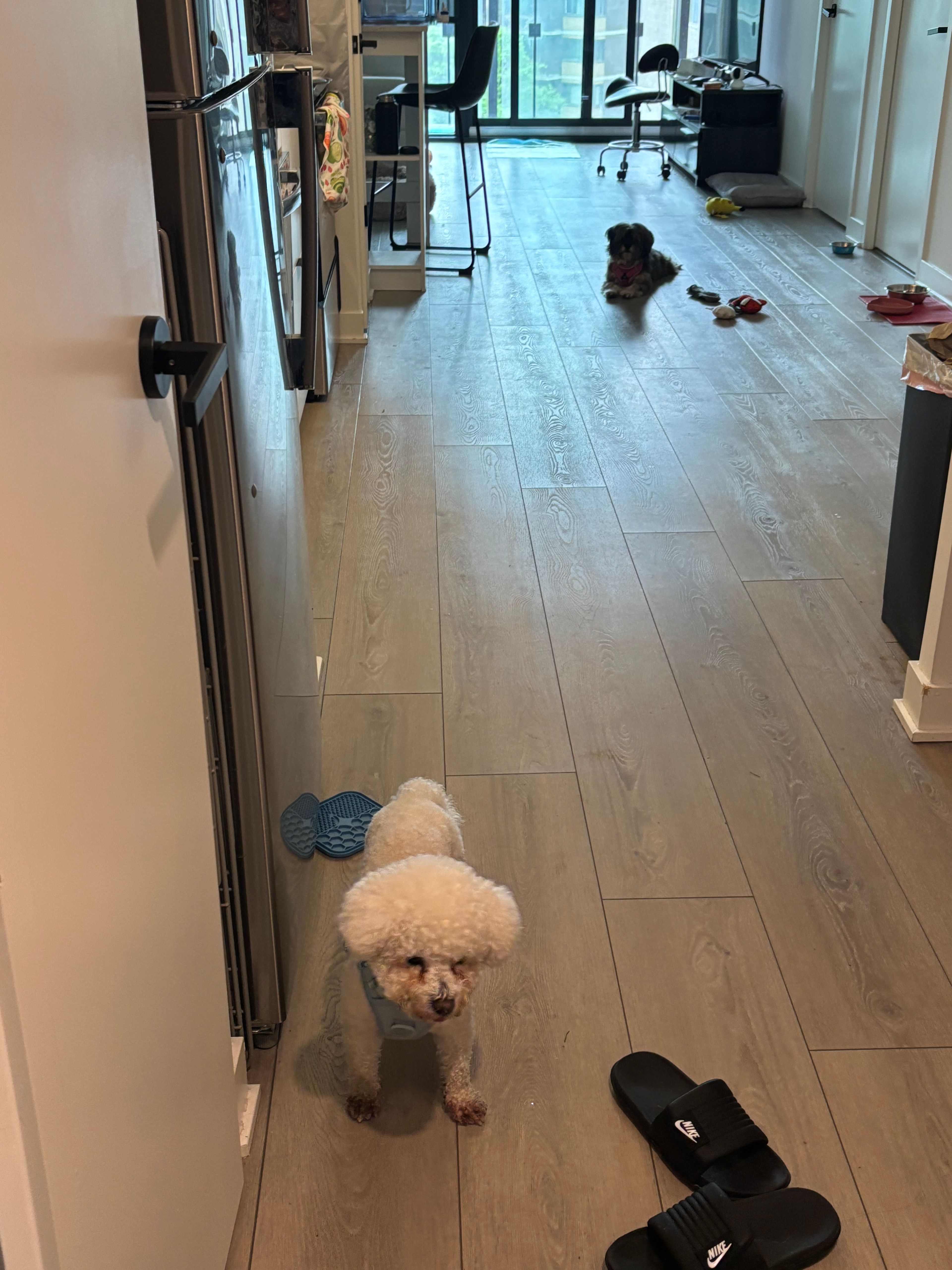 image-17