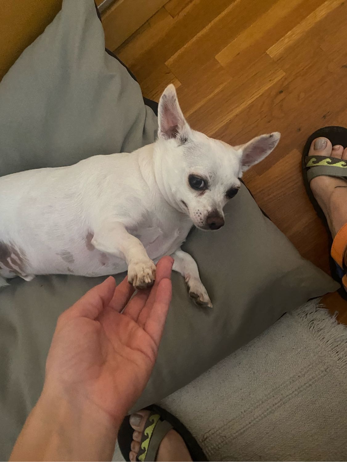 image-11