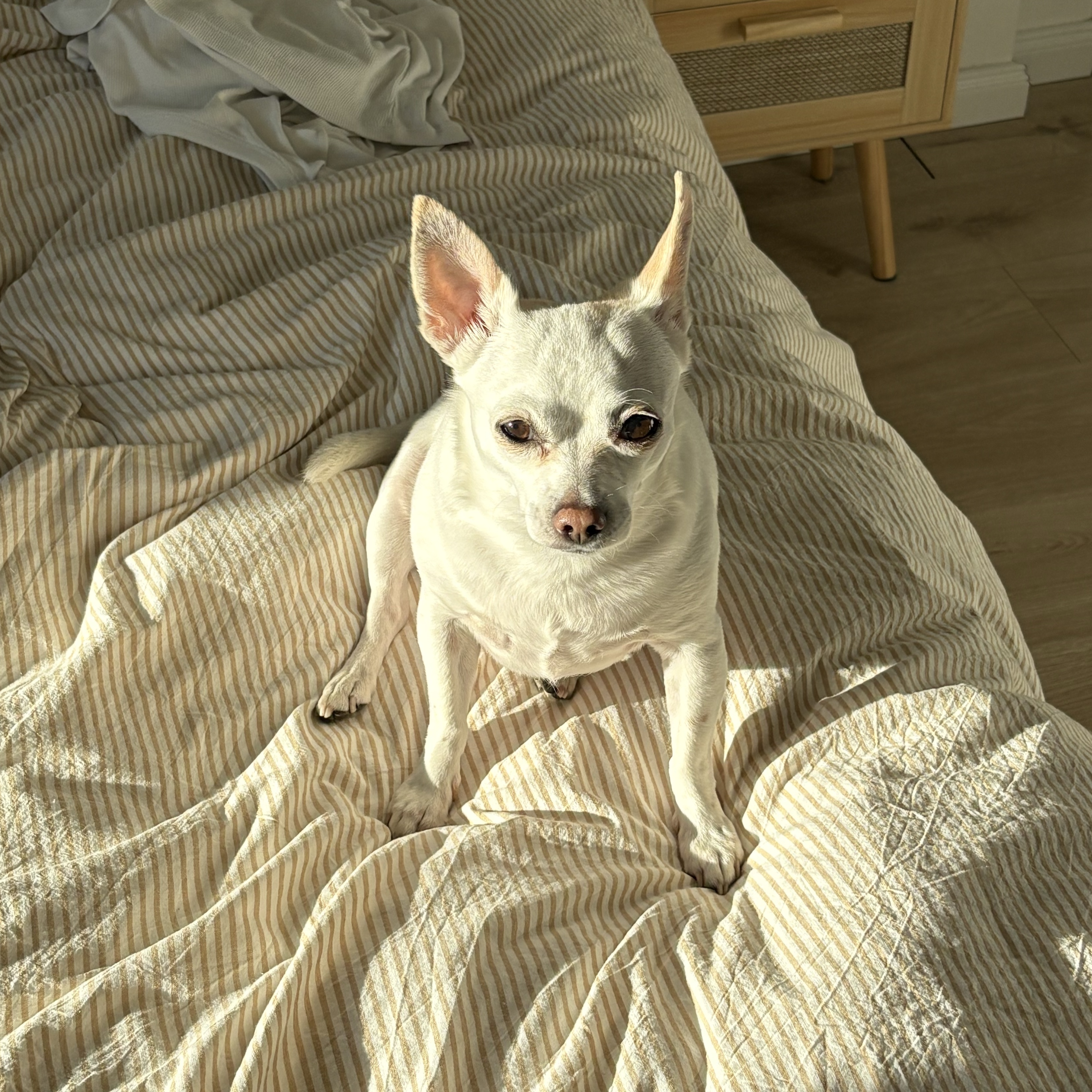 Lino