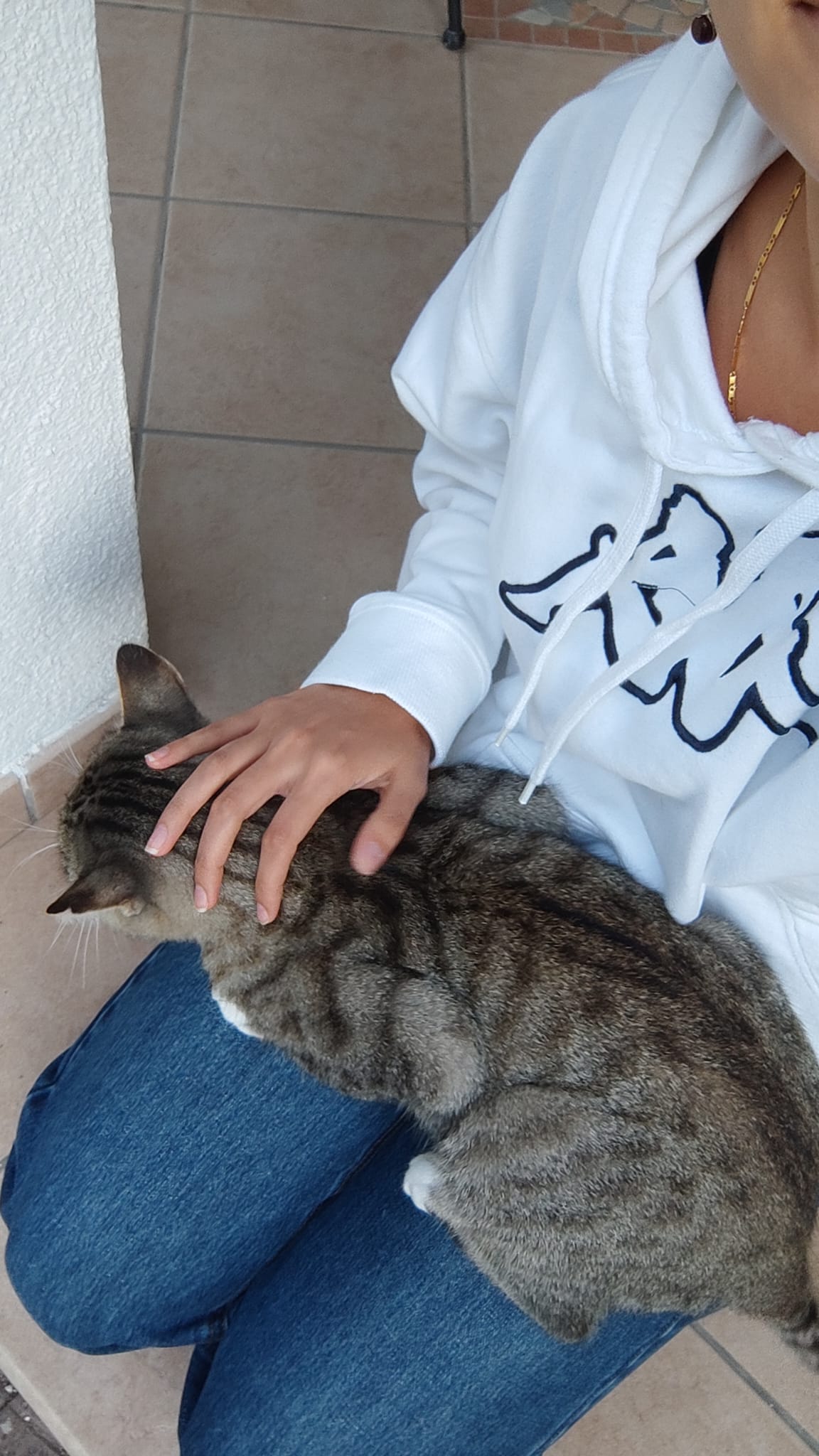 image-8