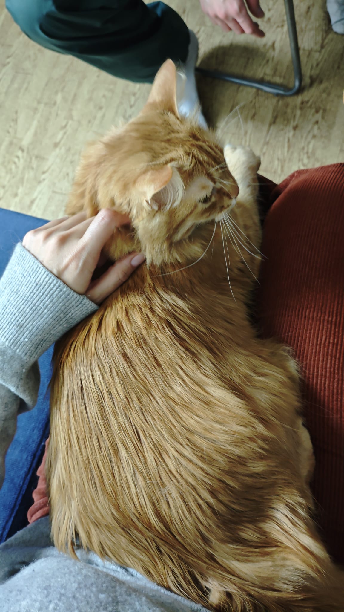 image-6