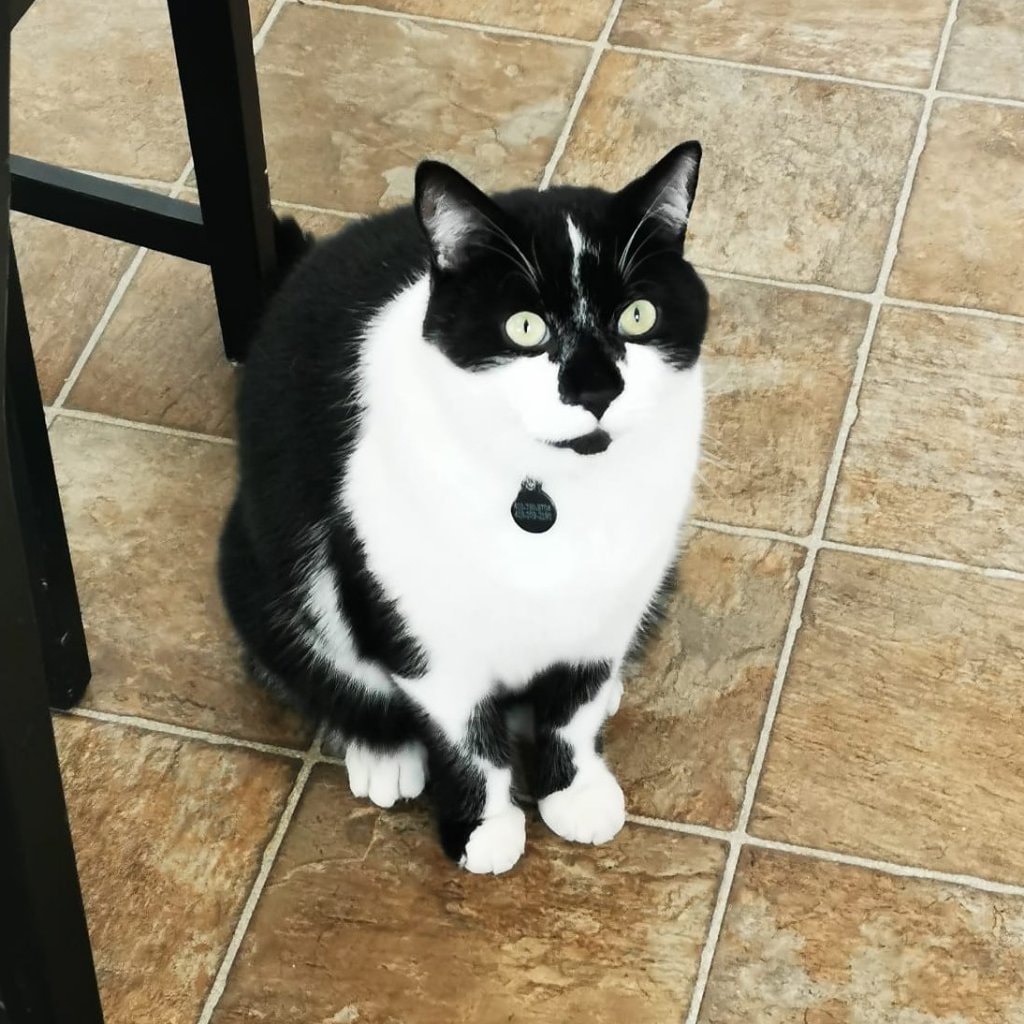 Floky