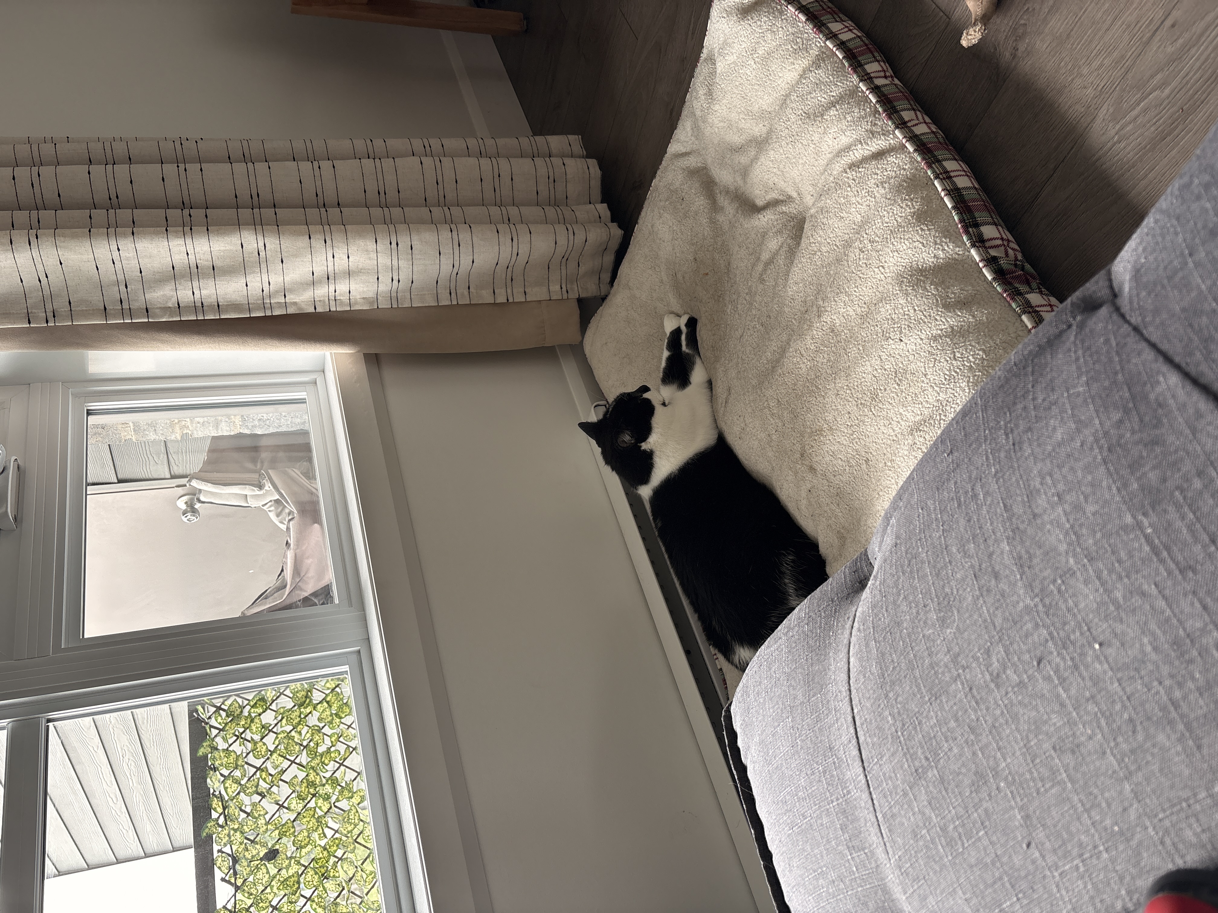 image-9