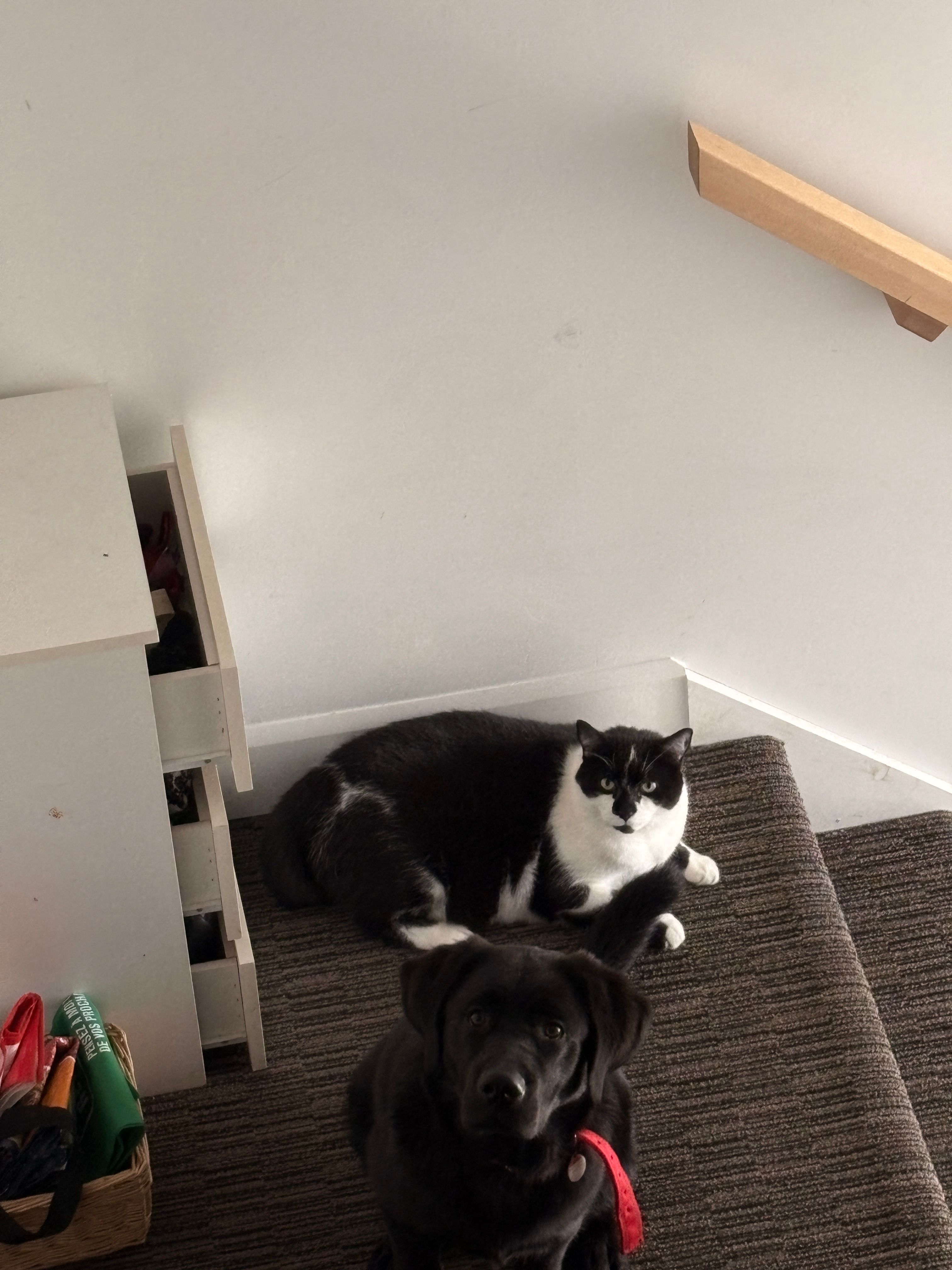 image-6