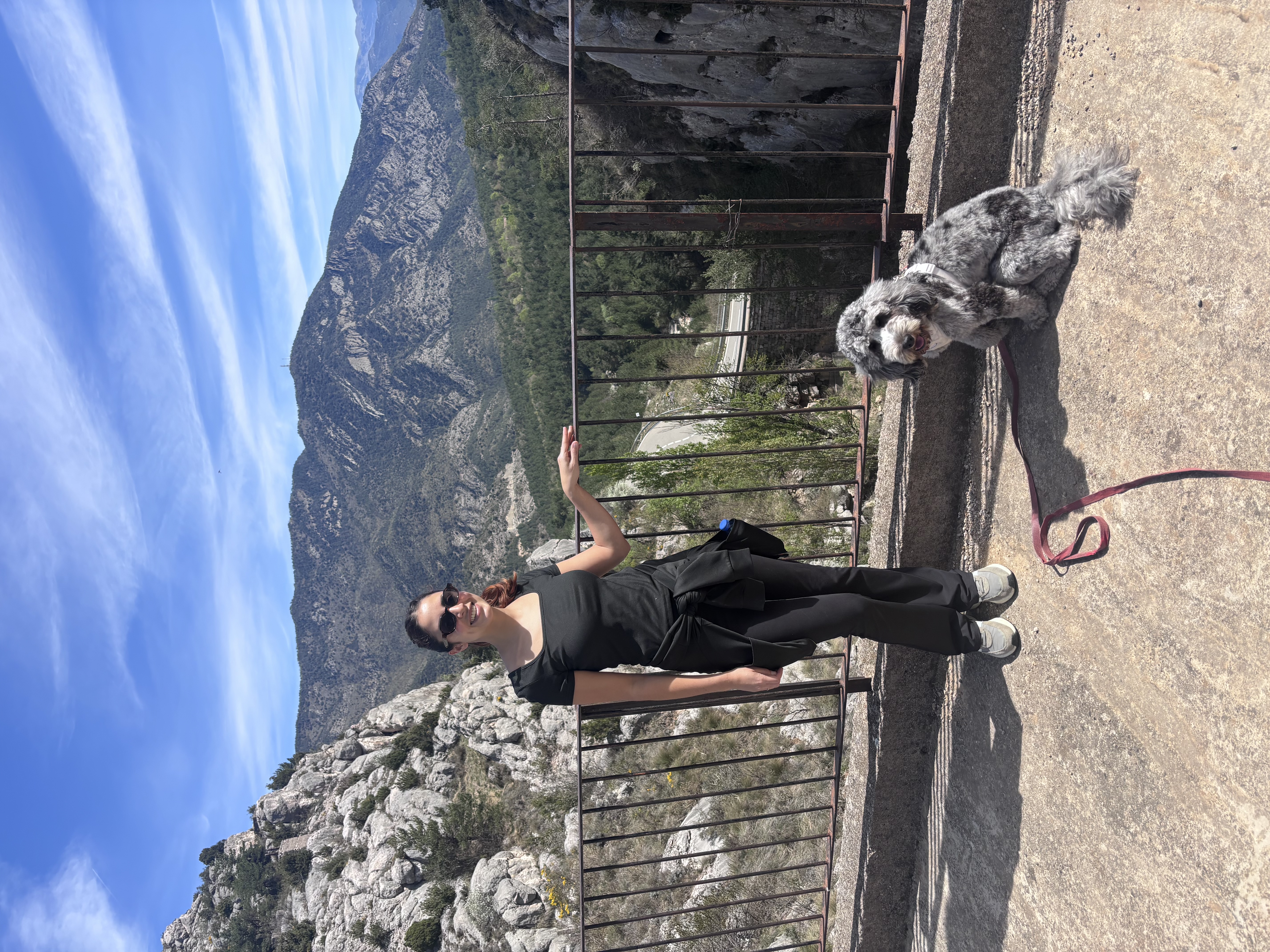 image-8