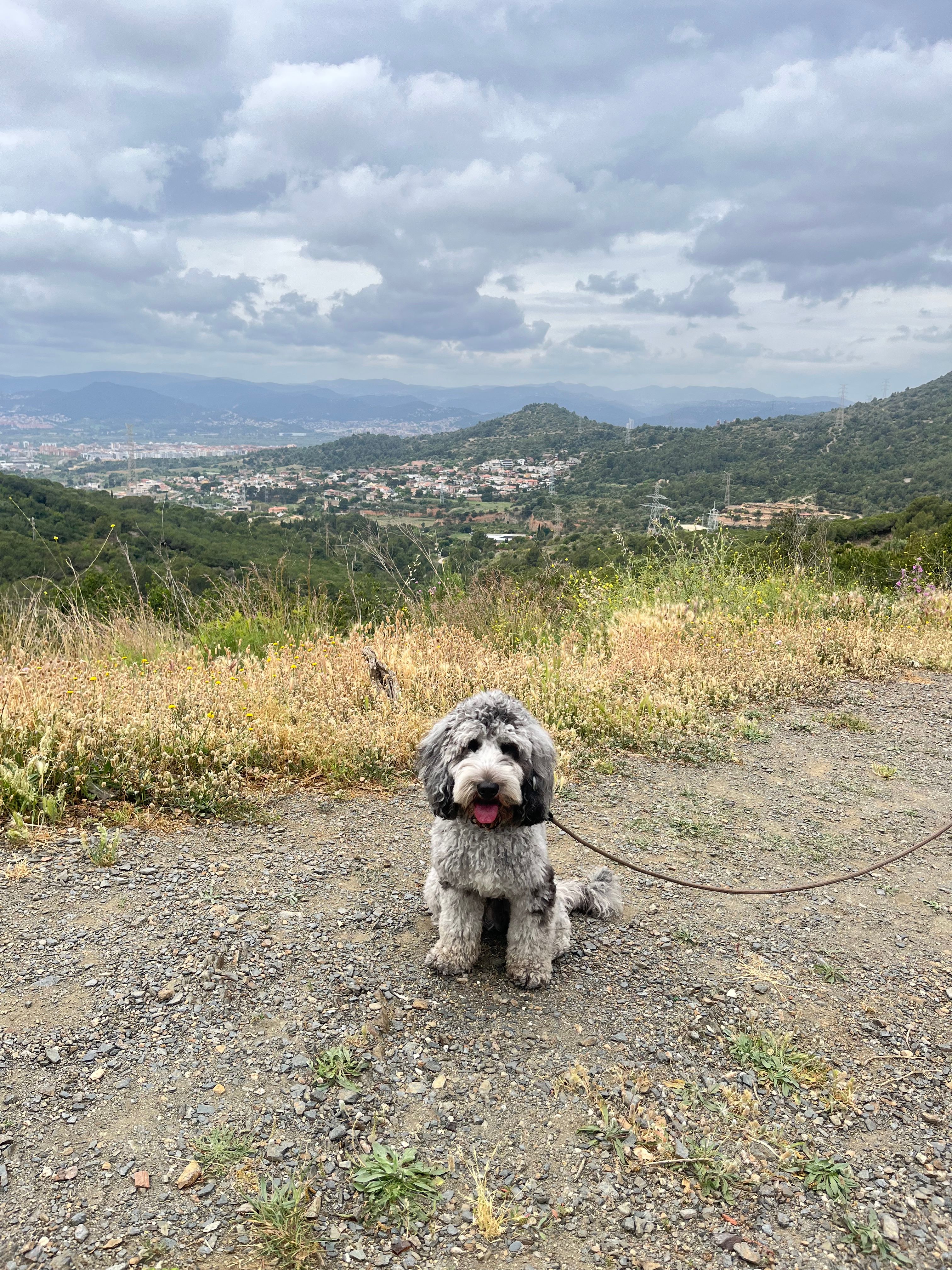 image-10