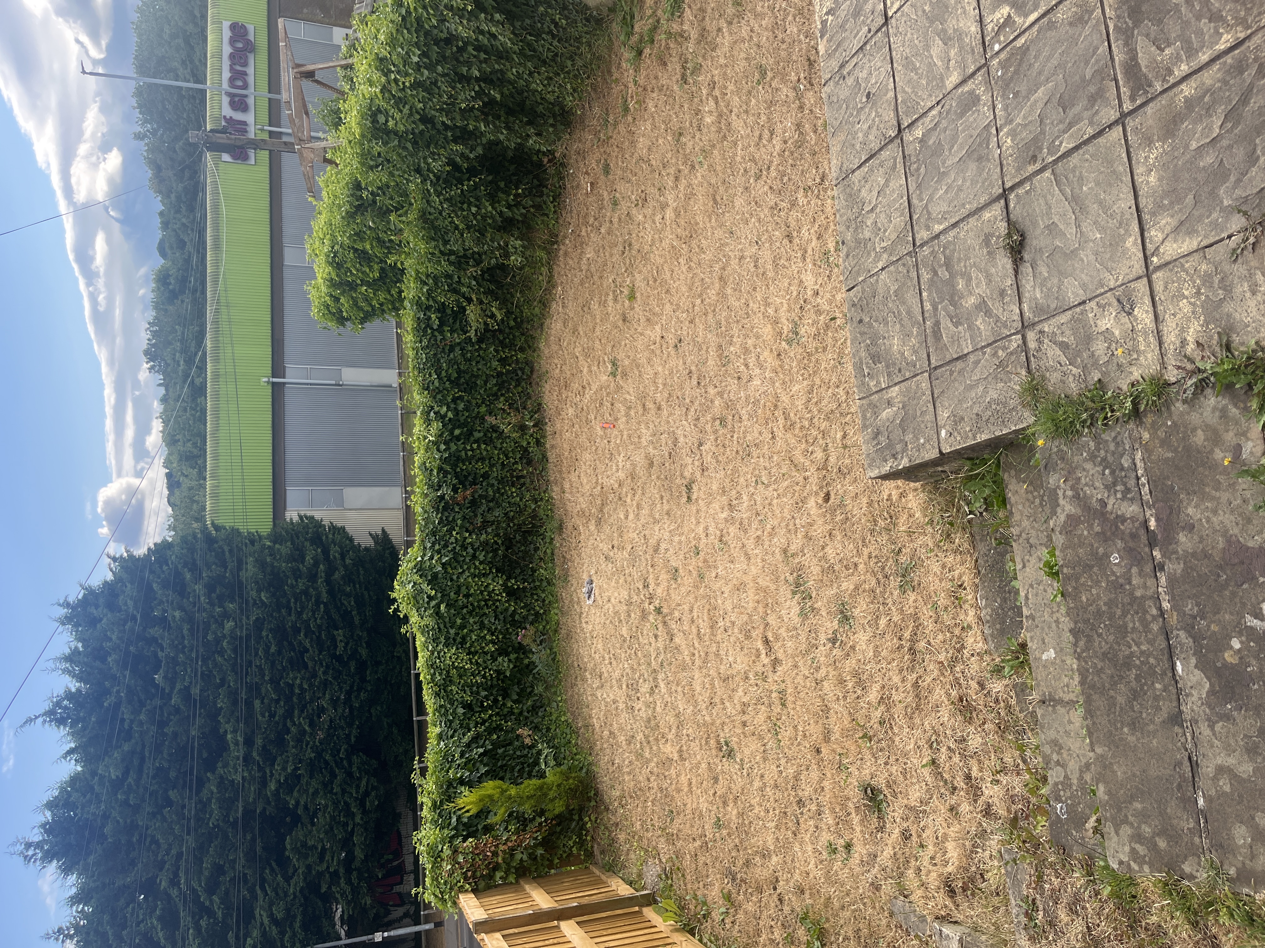 image-15