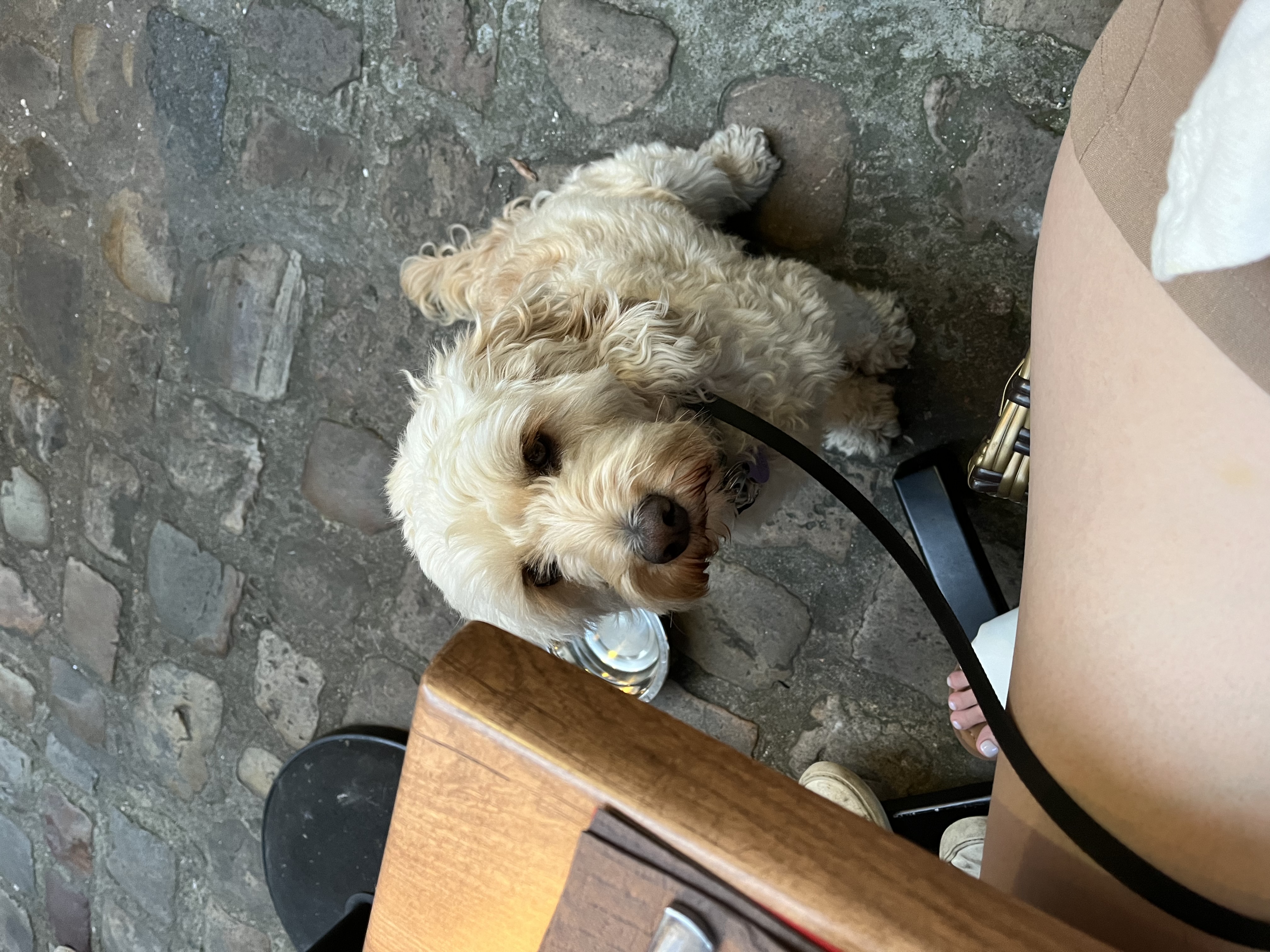 image-7
