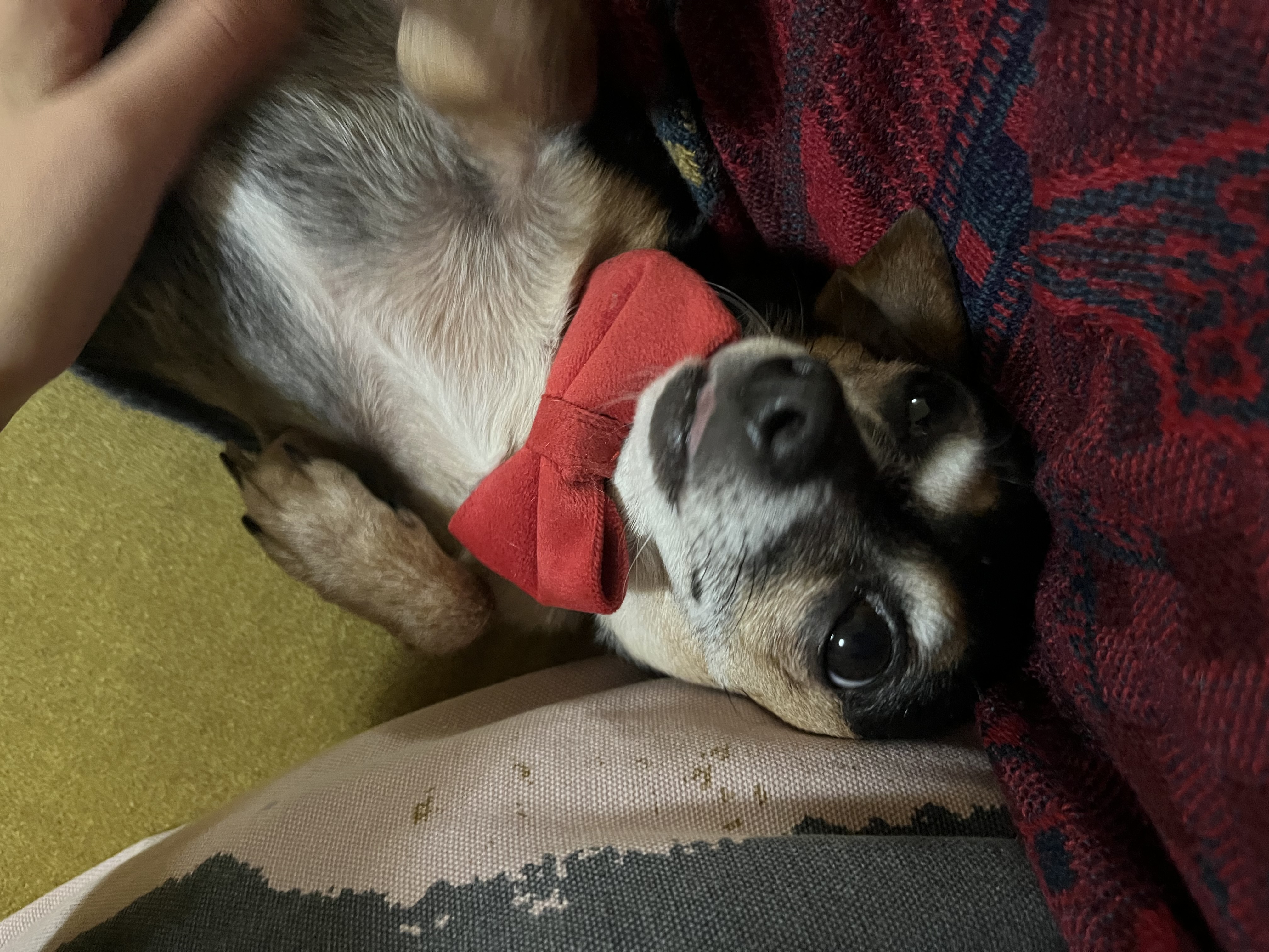 image-8