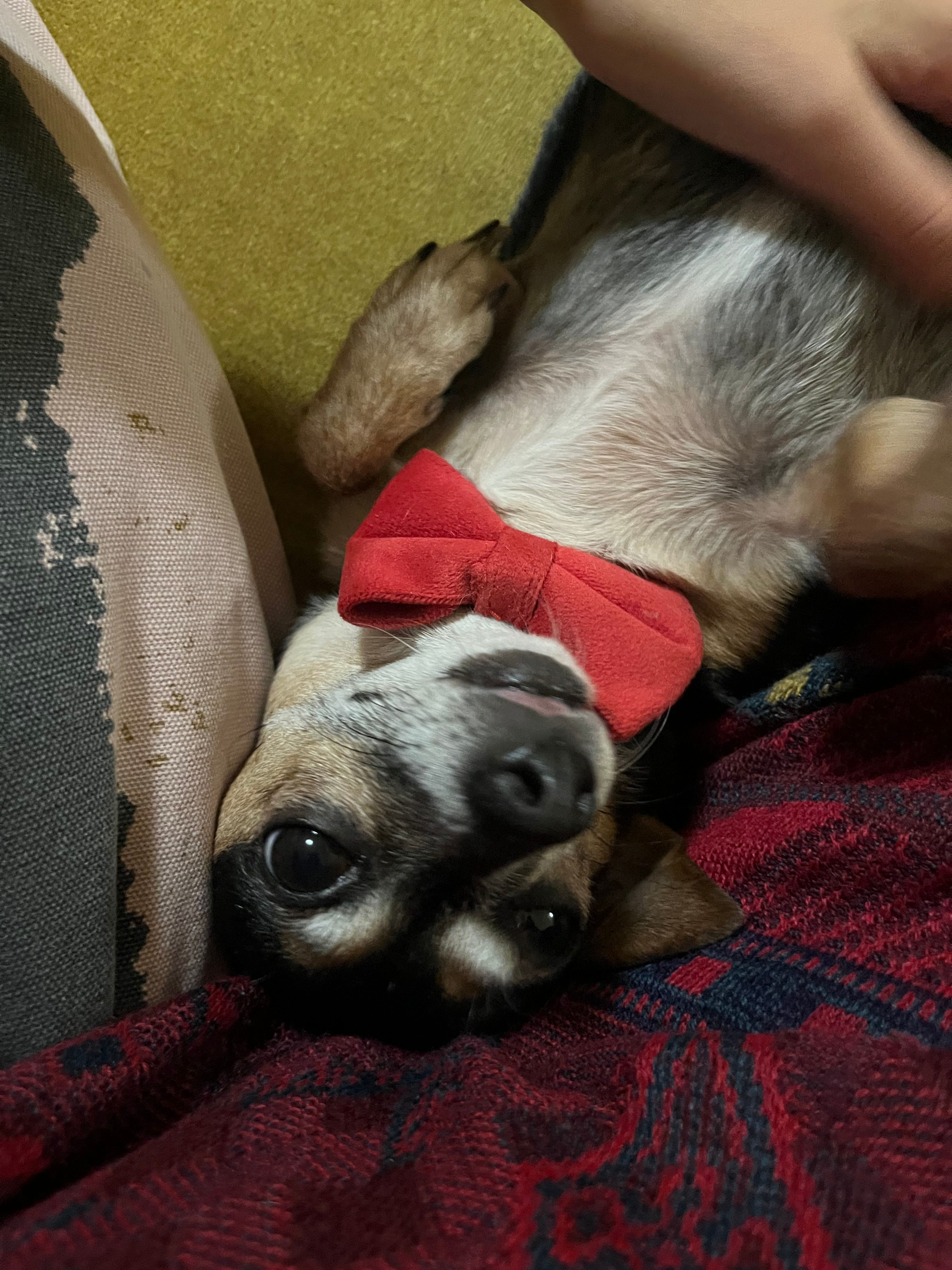 image-8