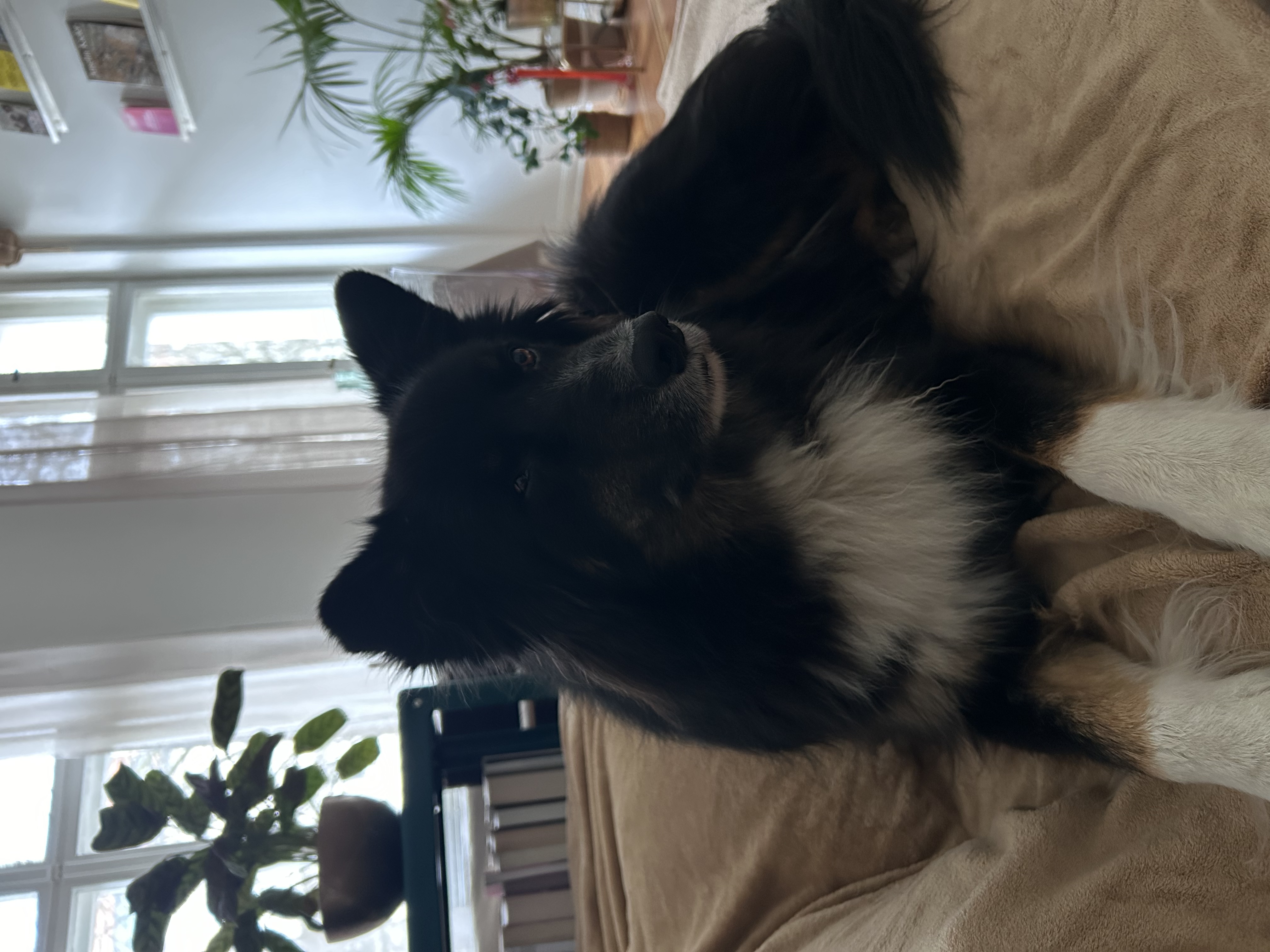 image-10