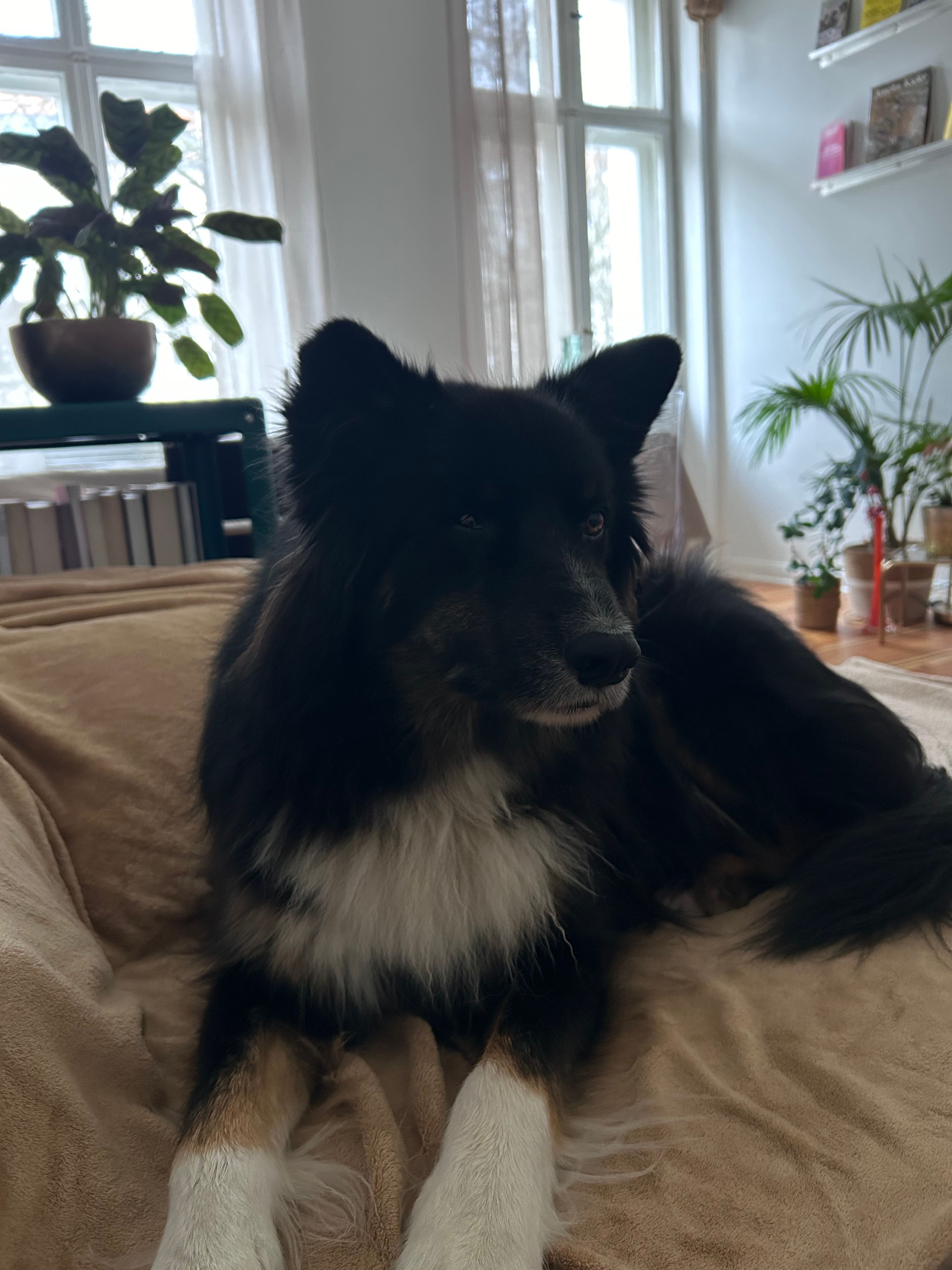 image-10