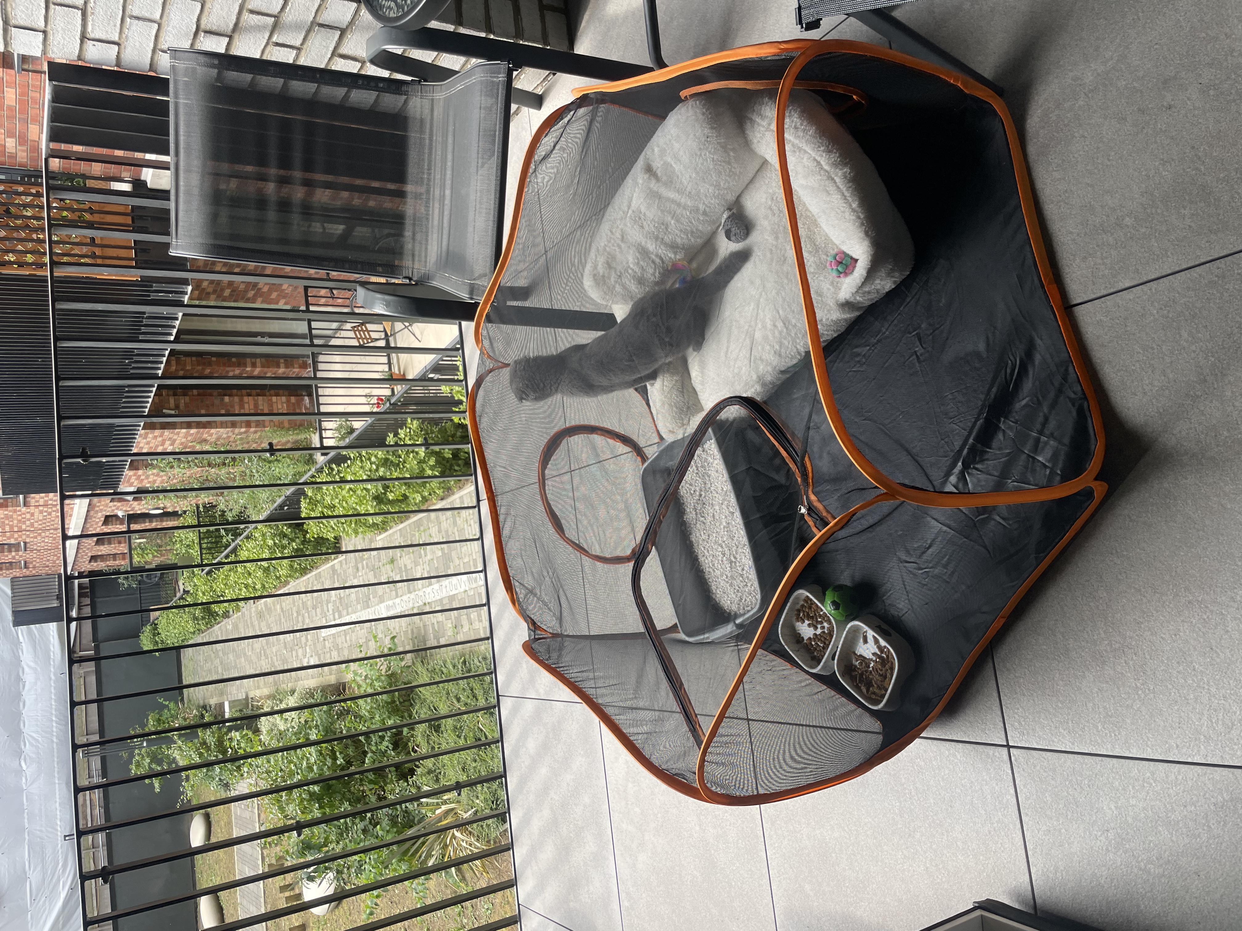 image-15