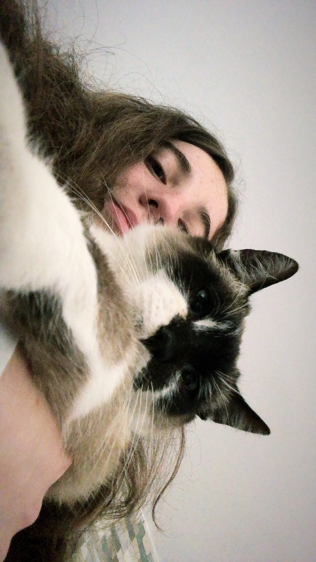 image-6