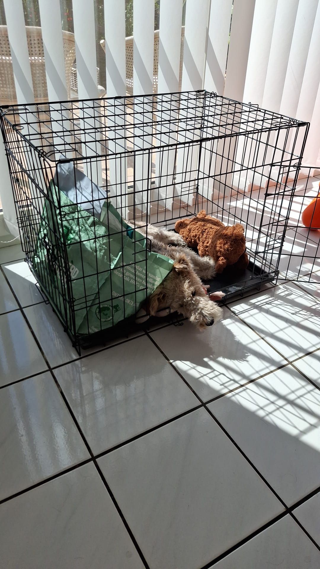image-10