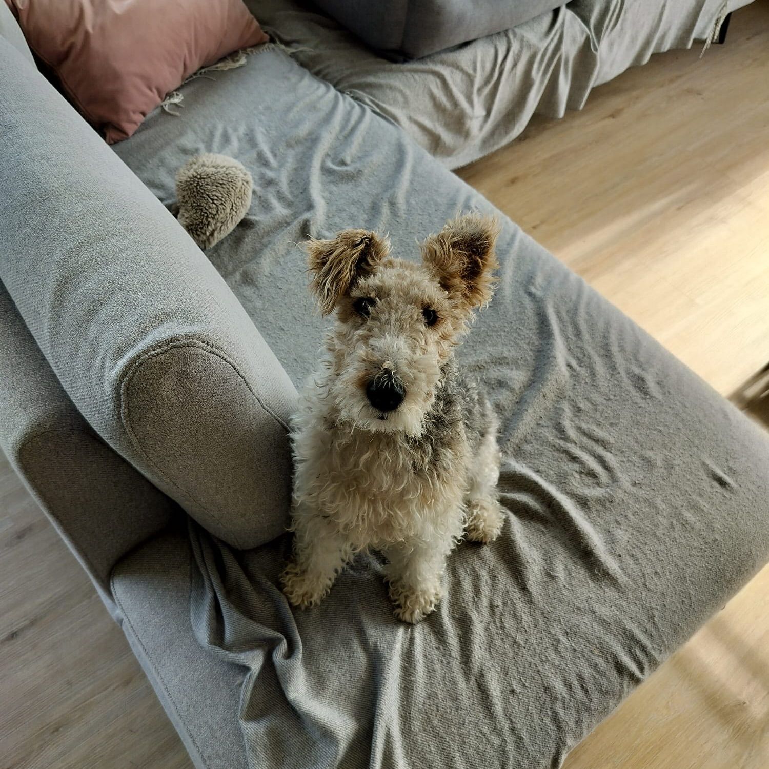 Bizou