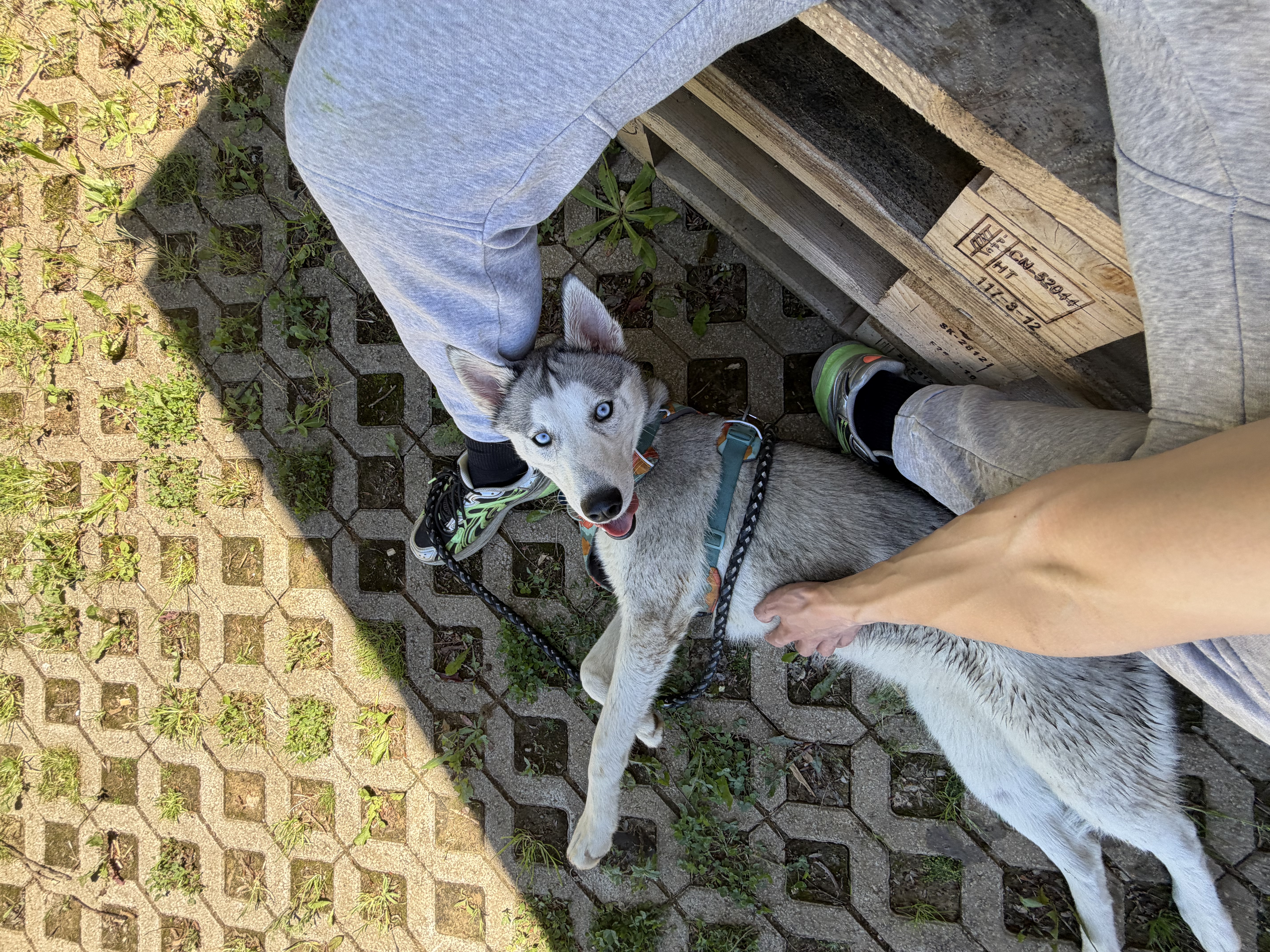 image-10