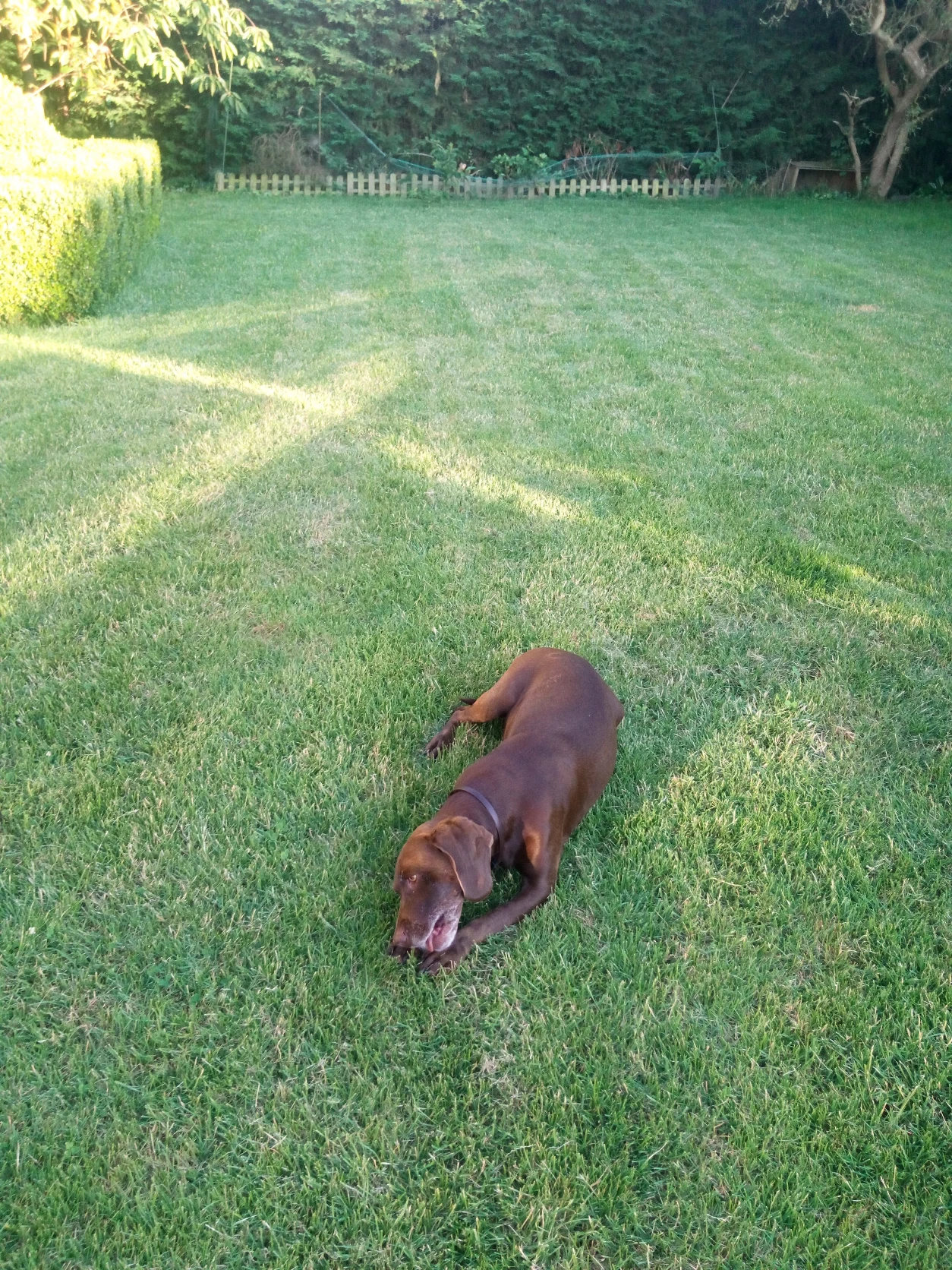 image-6