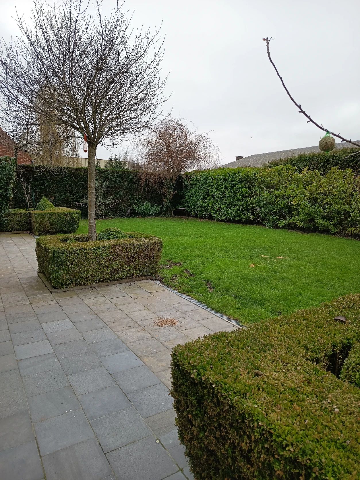 image-16