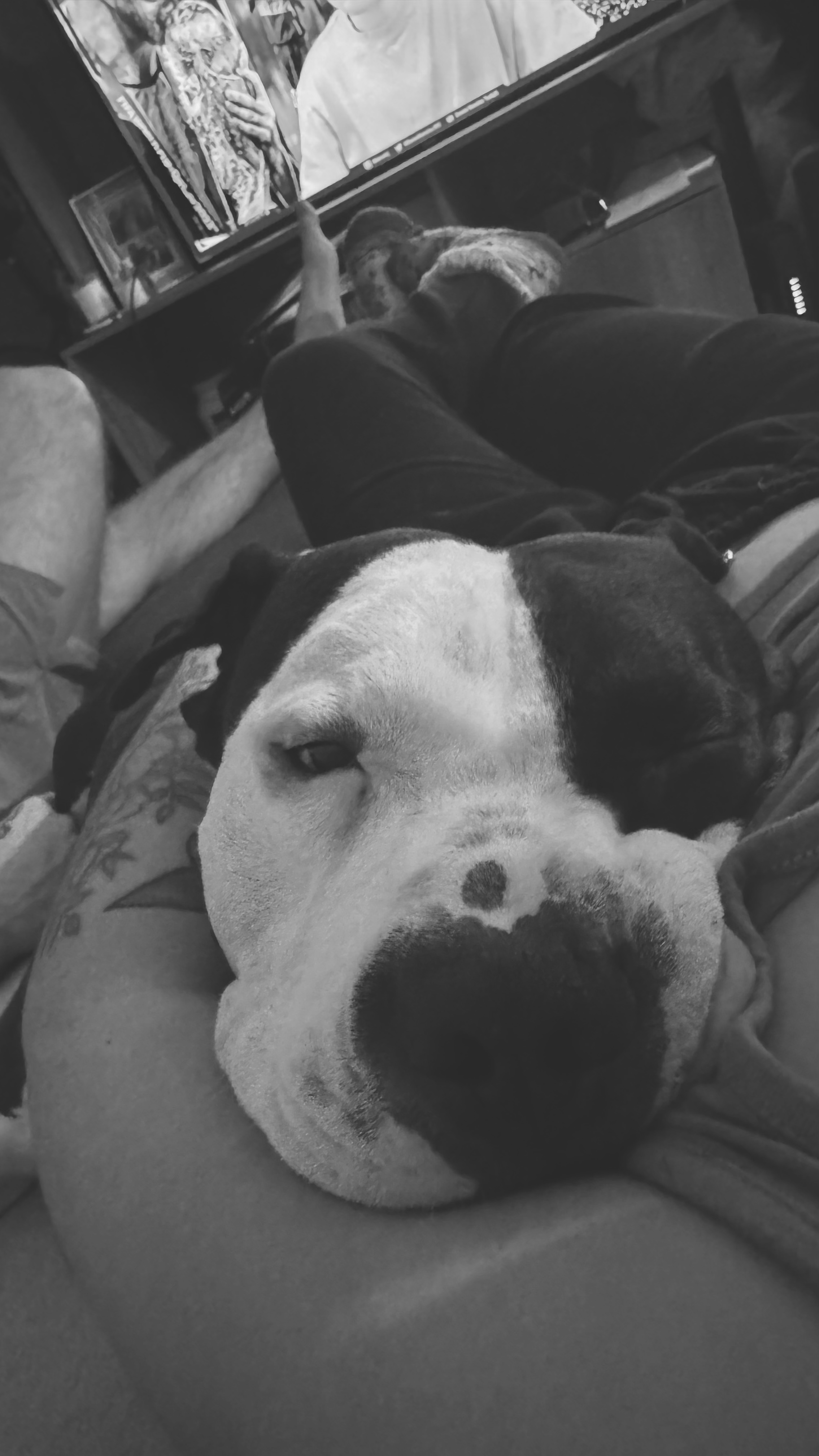 image-7
