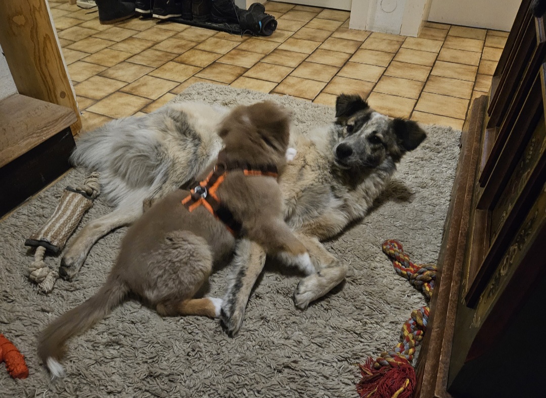 image-10