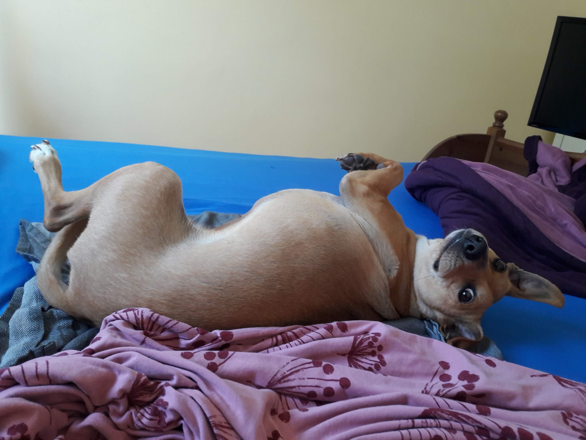 image-9