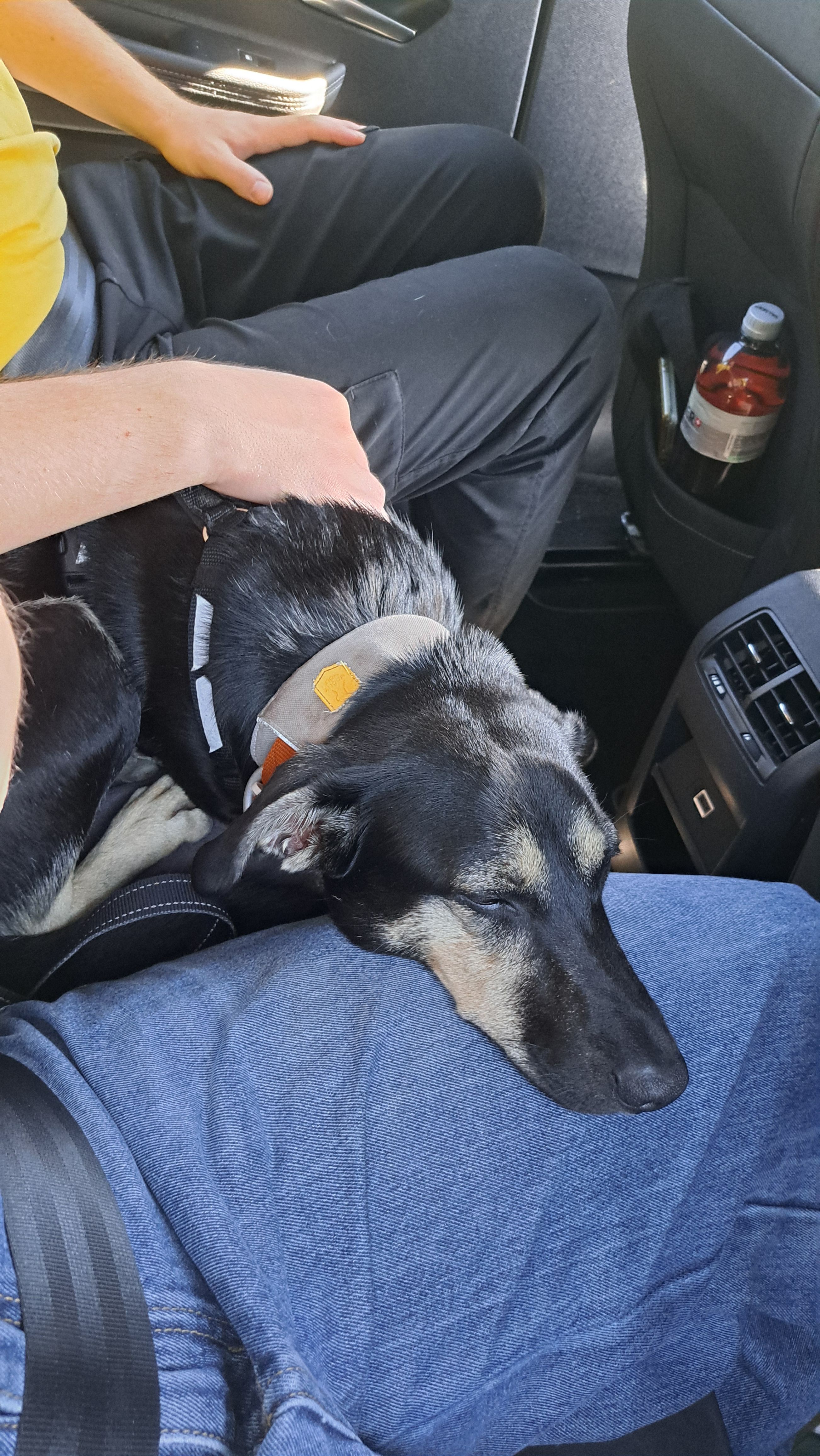 image-7