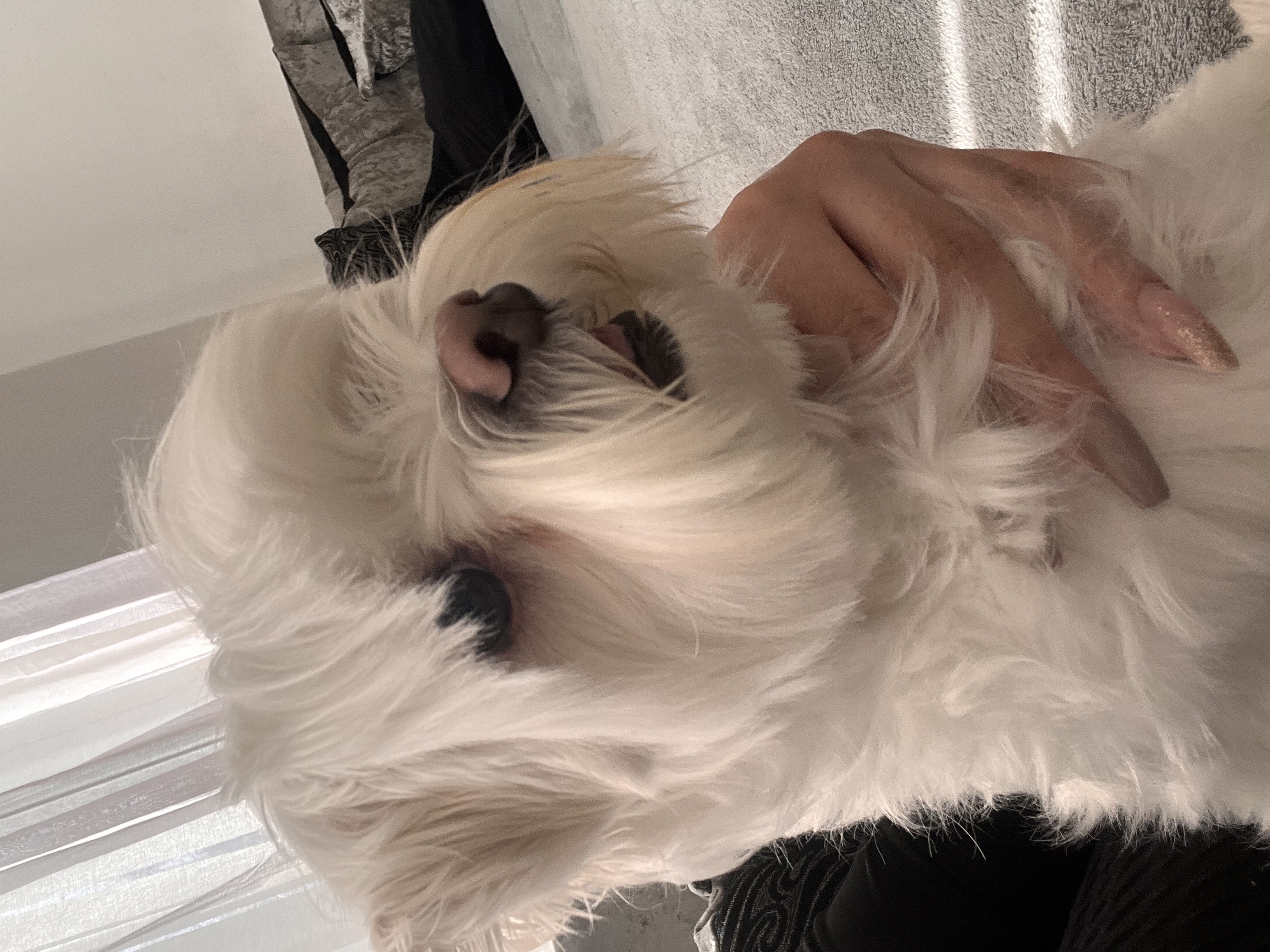 image-6