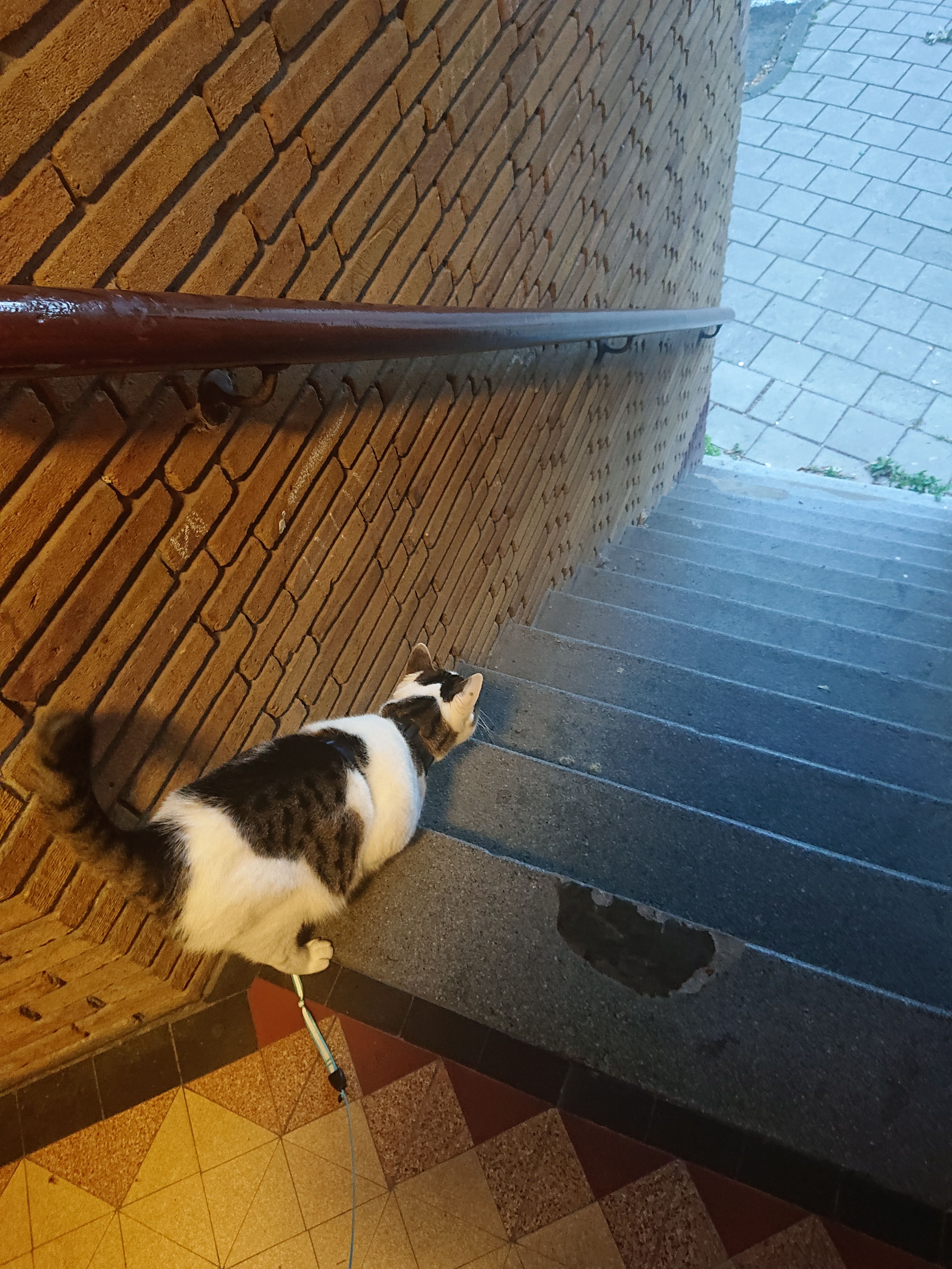 image-12