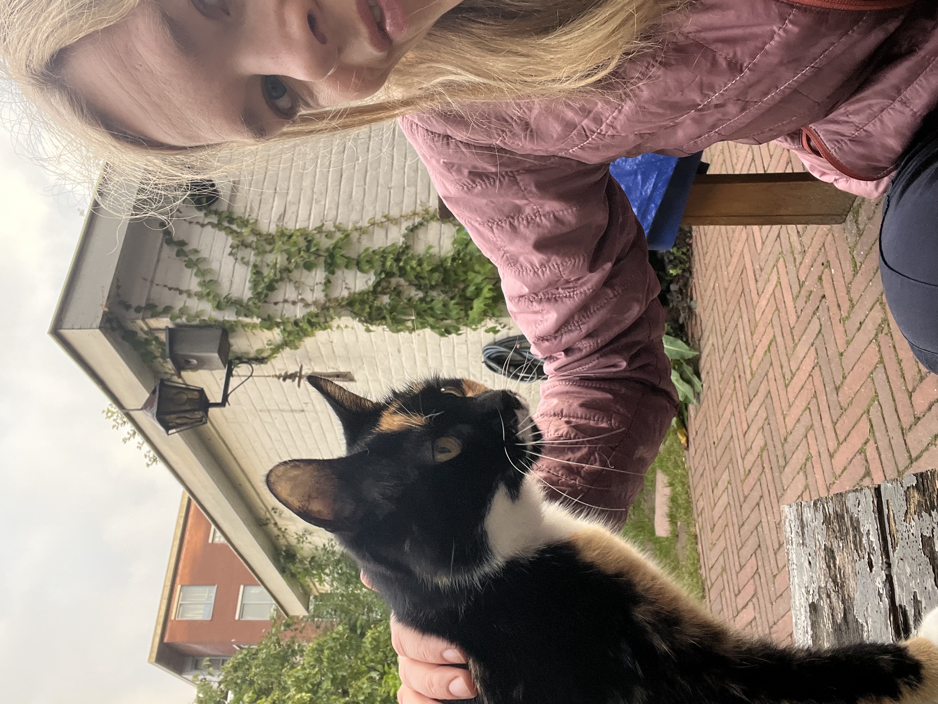 image-9